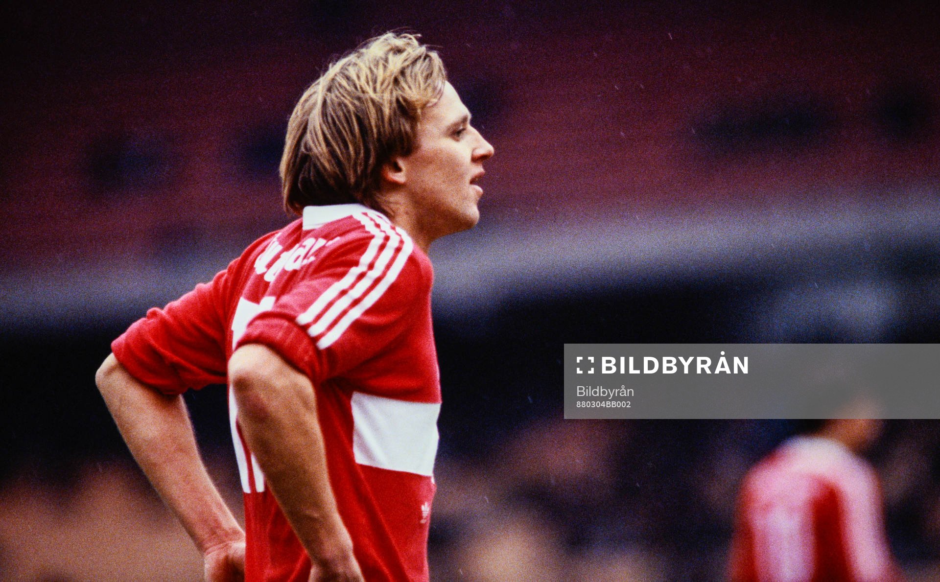 Fotboll, Bundesliga, Köln - Stuttgart: Stuttgarts Dan Corneliusson.
Football, Bundesliga, FC Cologne - VfB Stuttgart (1984): Stuttgarts Dan Corneliusson.