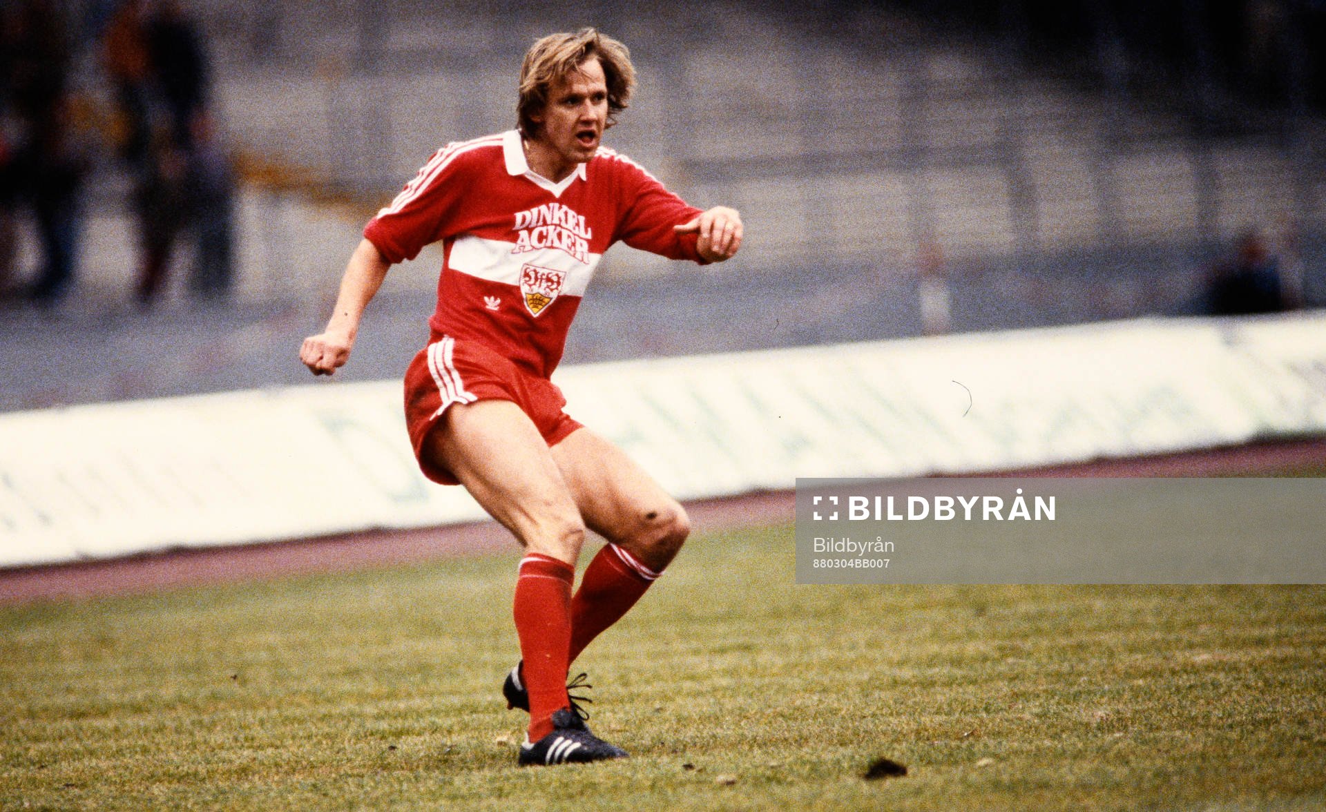 Stuttgarts Dan Corneliusson