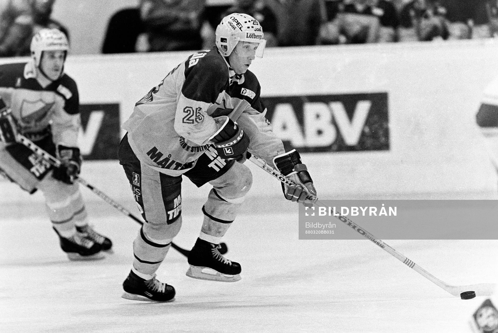 Mikael Johansson, Djurgården