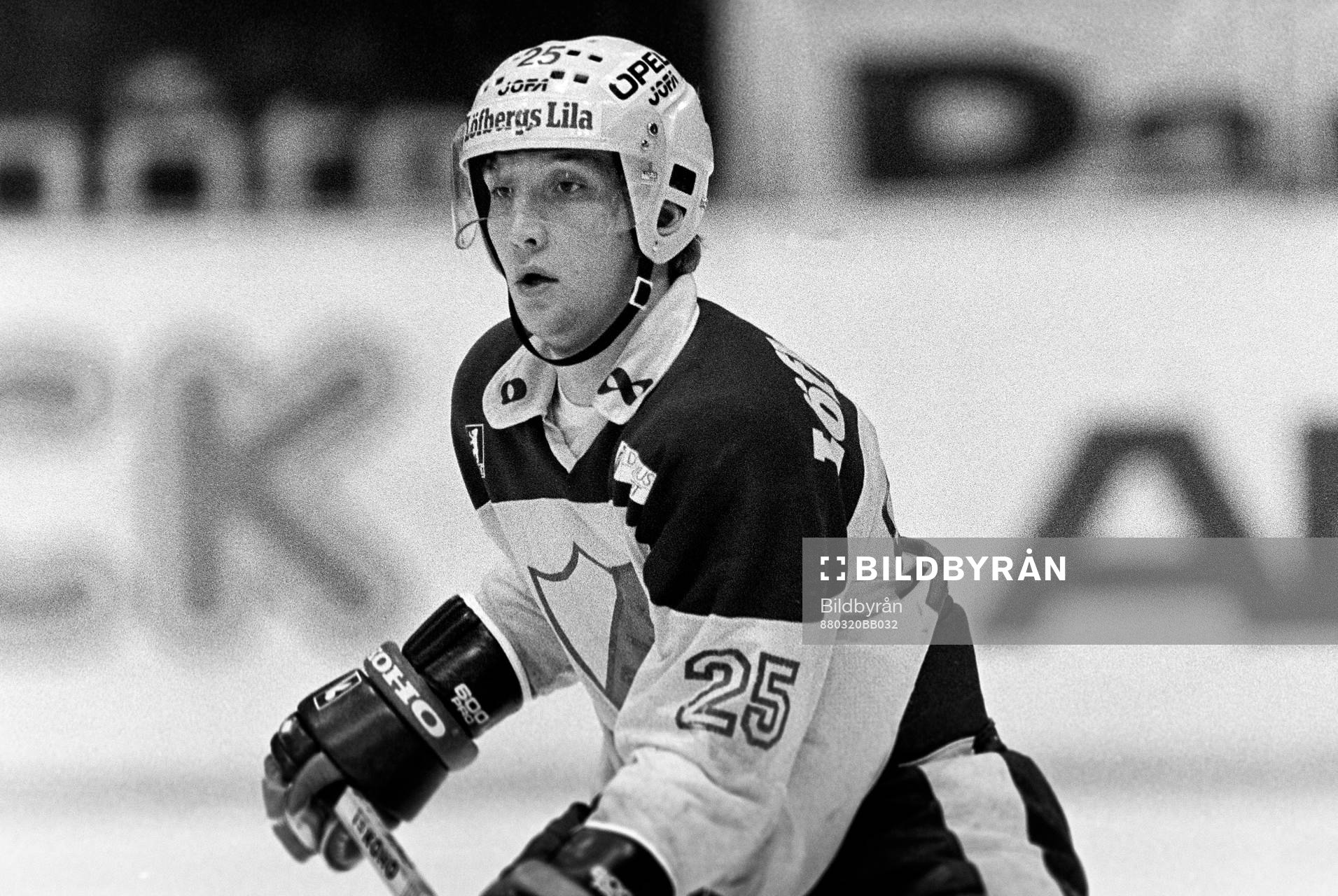 Mikael Johansson, Djurgården