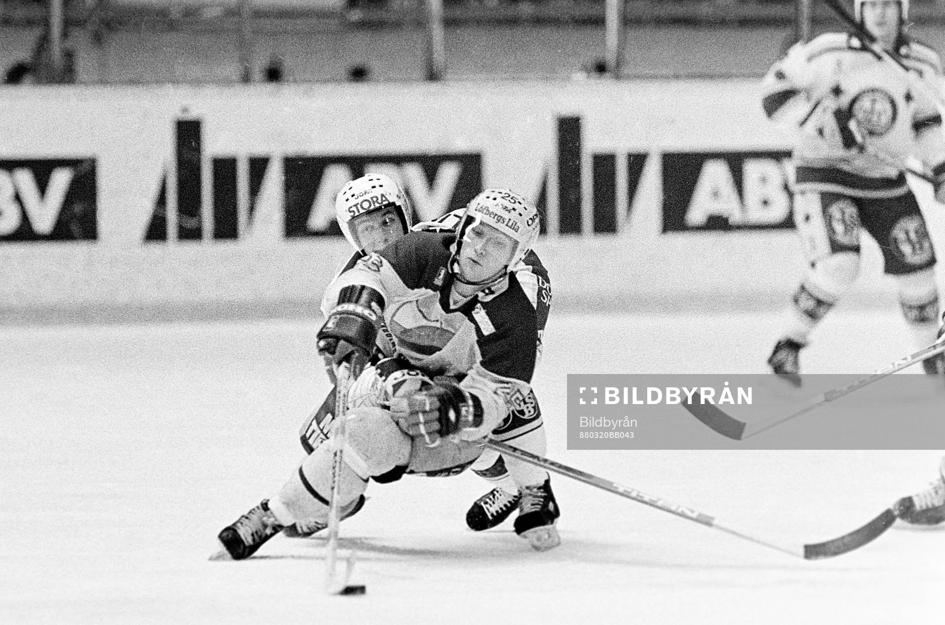 Mikael Johansson, Djurgården
