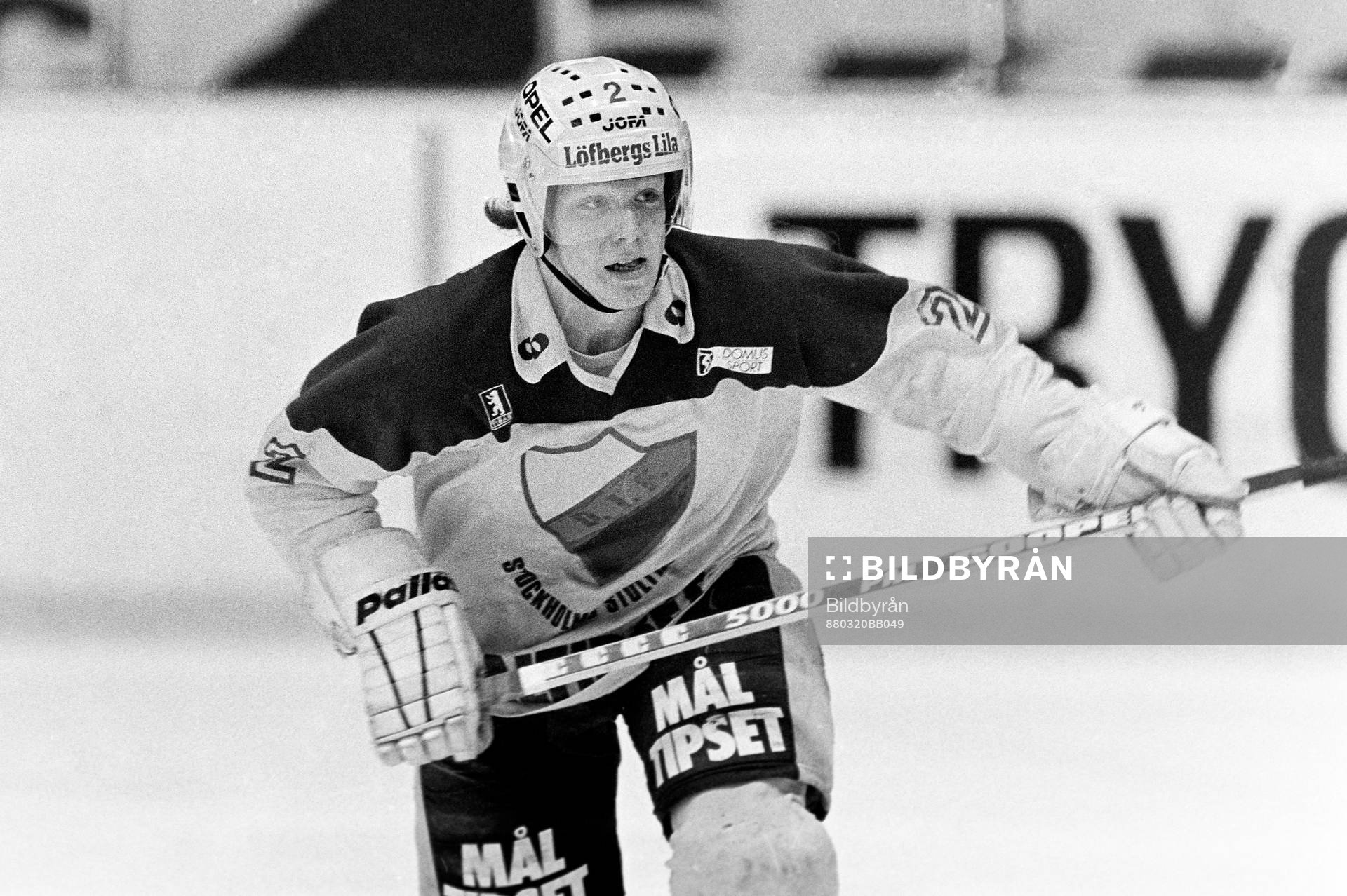 Claes Berglund, Djurgården