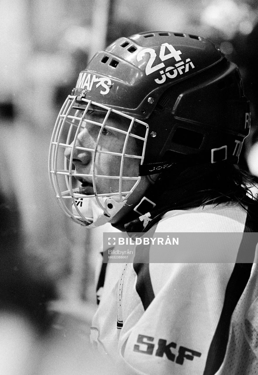 Ishockey, Allsvenskan, final, Västra Frölunda -