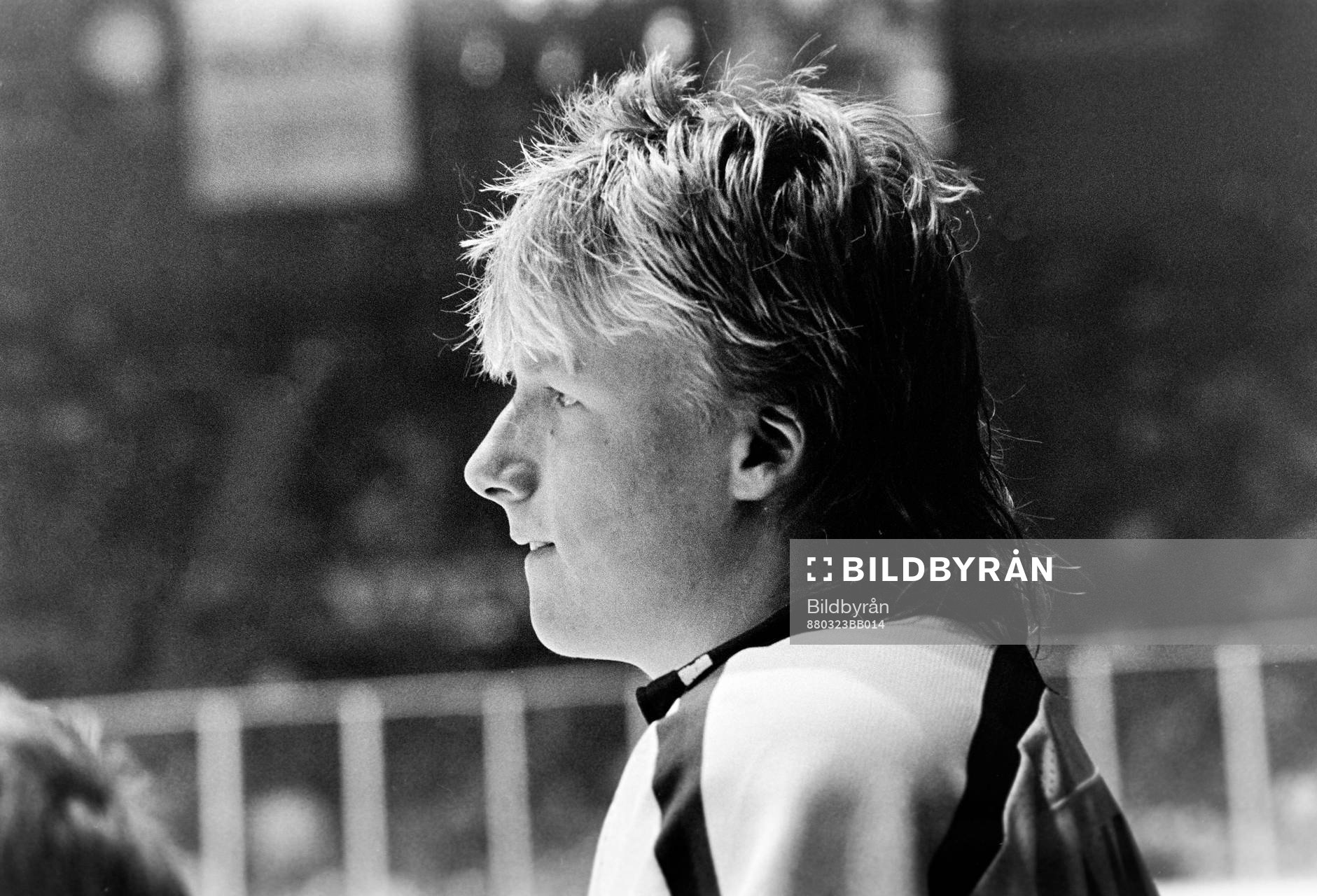 Ishockey, Allsvenskan, final, Västra Frölunda -