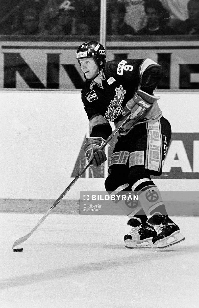 Ishockey, Allsvenskan, final, Västra Frölunda -
