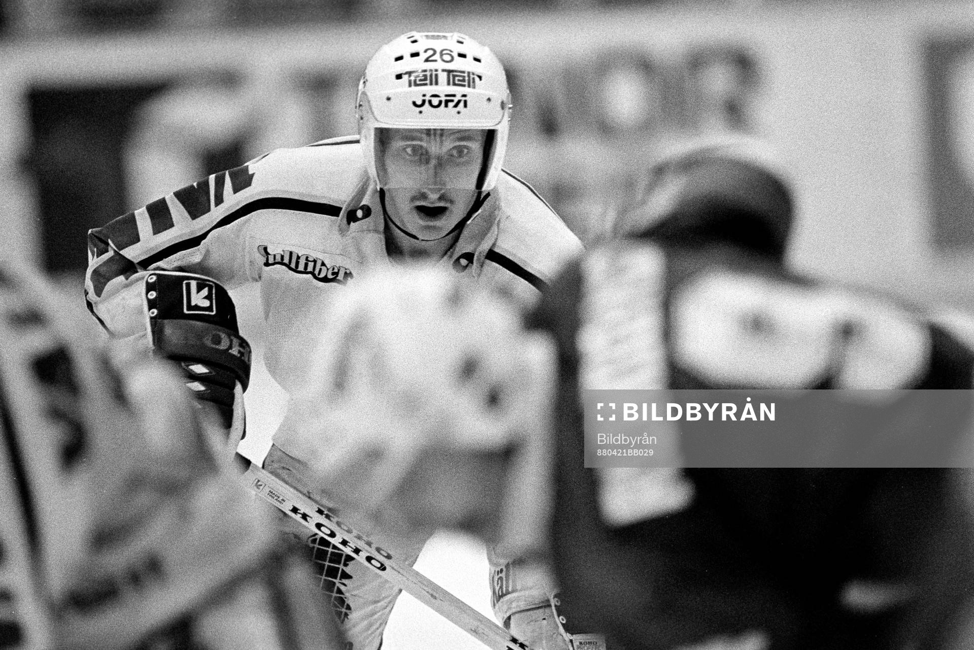 Johan Törnqvist, Björklöven