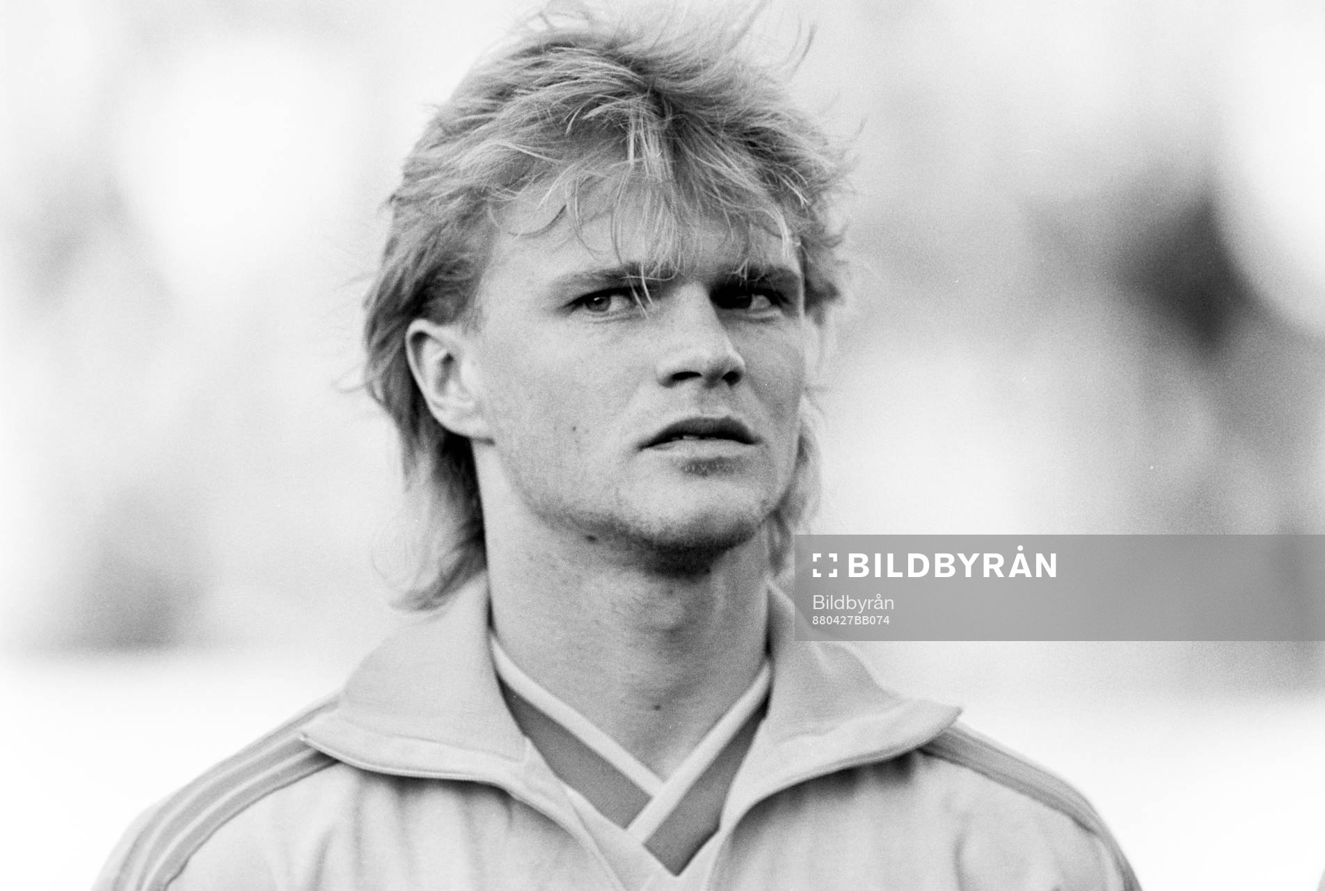 Dennis Schiller, Sverige
