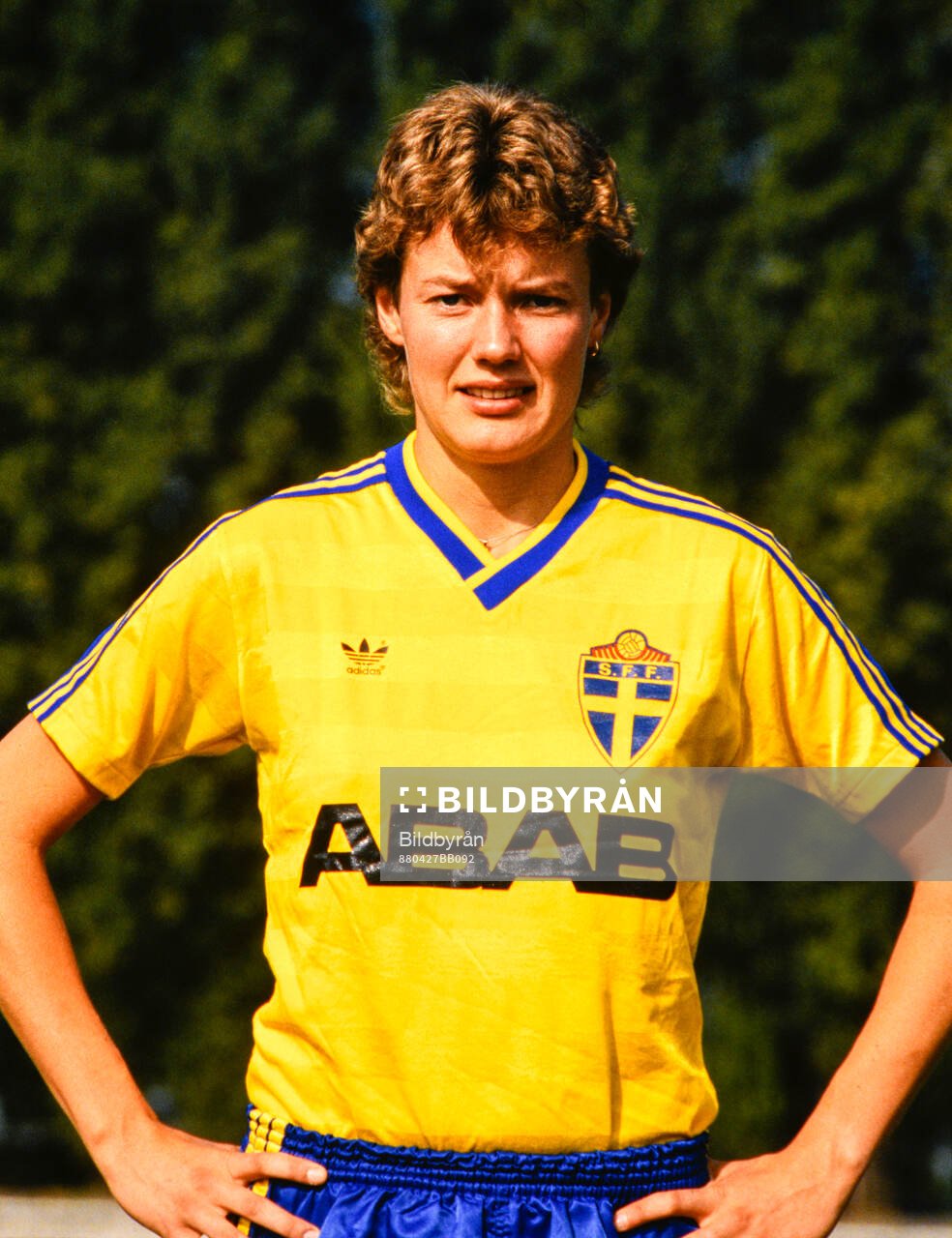 Lena Videkull, Sverige