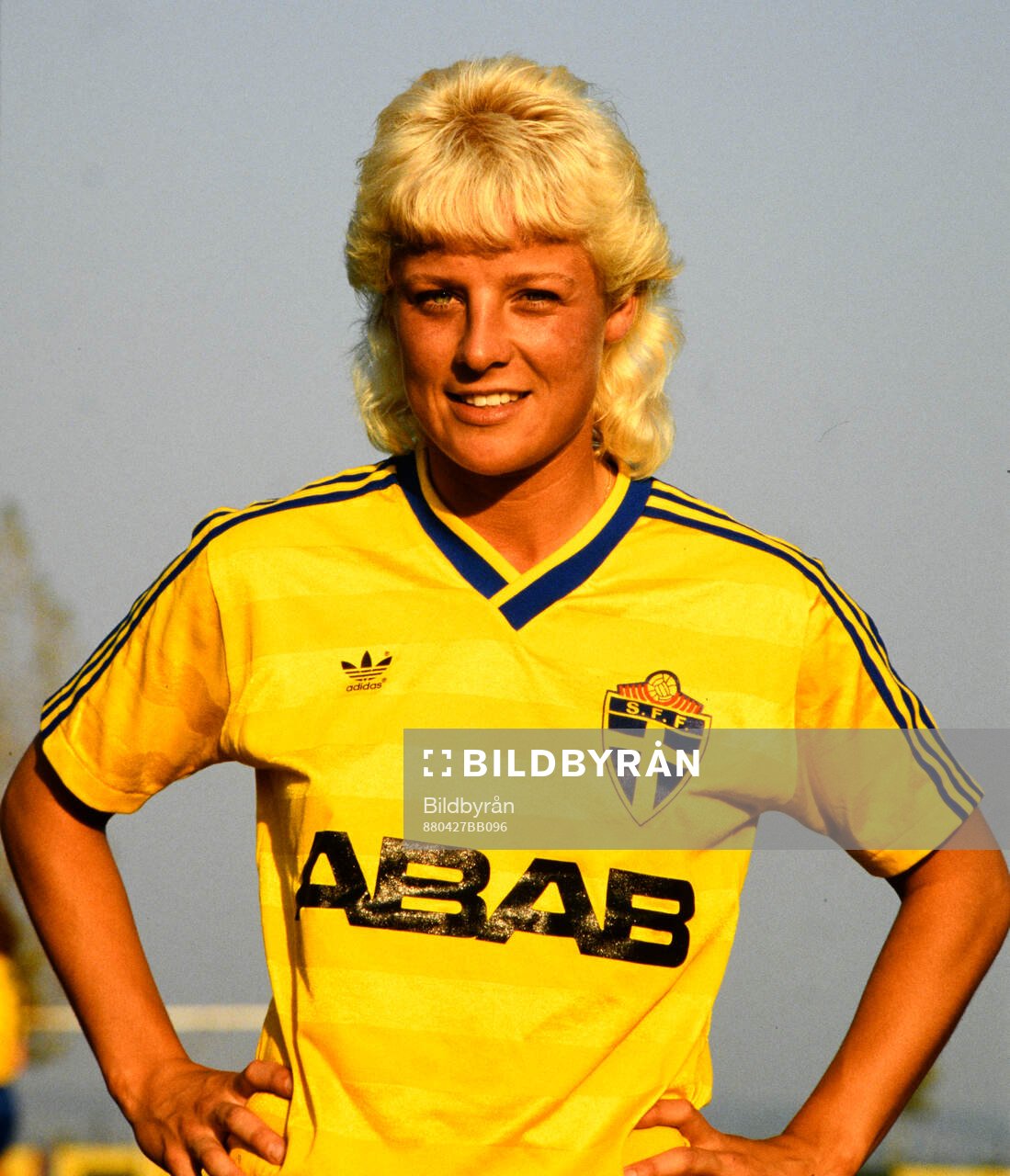 Anna Svenjeby, Sverige