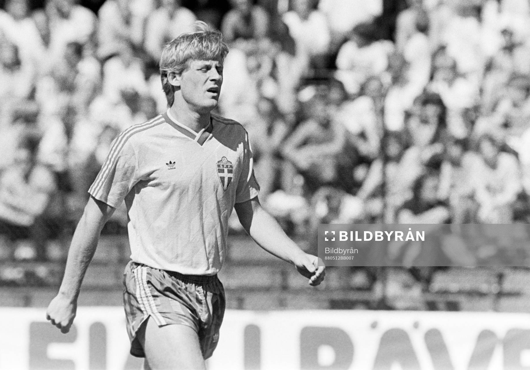 Tomas Lundin, Sverige