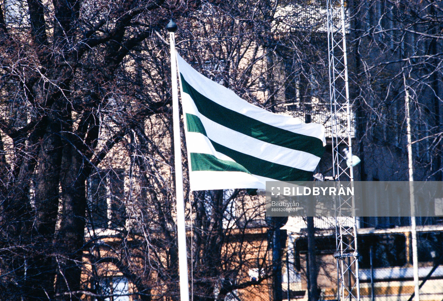 Fotboll, Damallsvenskan, Hammarby - Öxabäck: Hammarbyflagga, fana. 