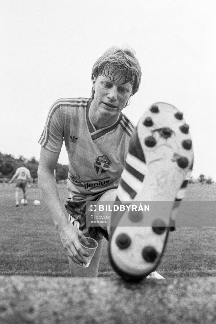 Stefan Pettersson, Sverige