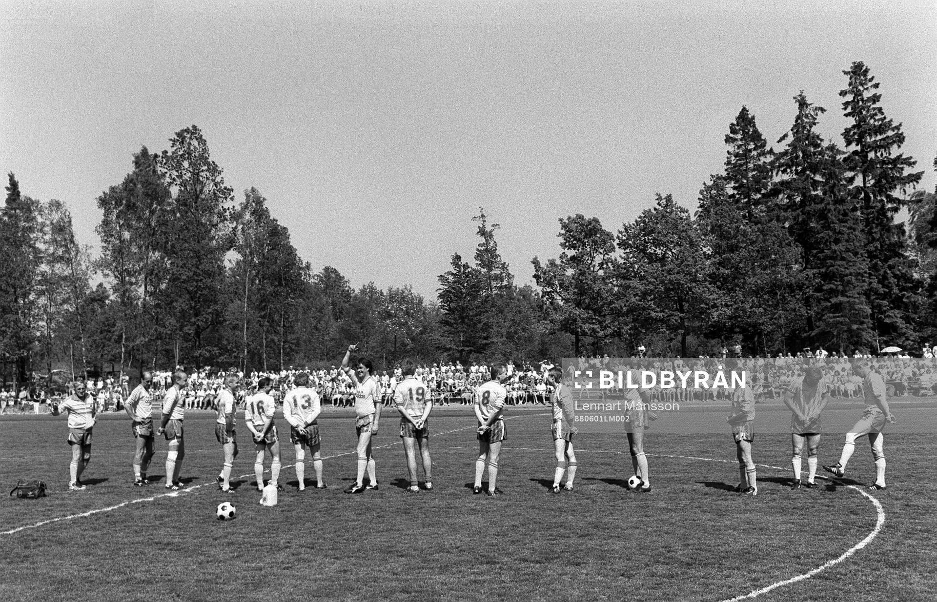 Sverige, VM-laget 74, 1974