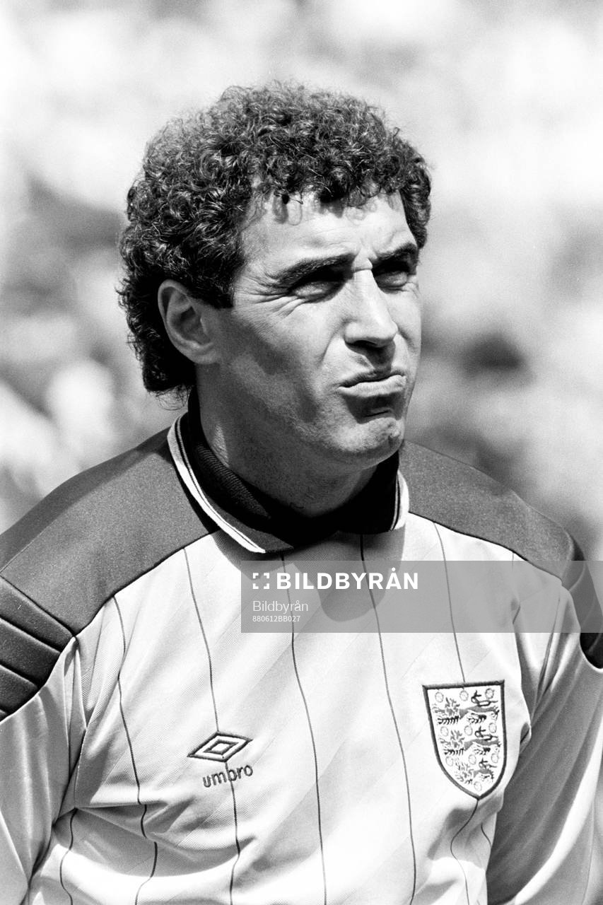 Fotboll, EM, England - Irland, 0-1: Peter Shilton, målvakt i England