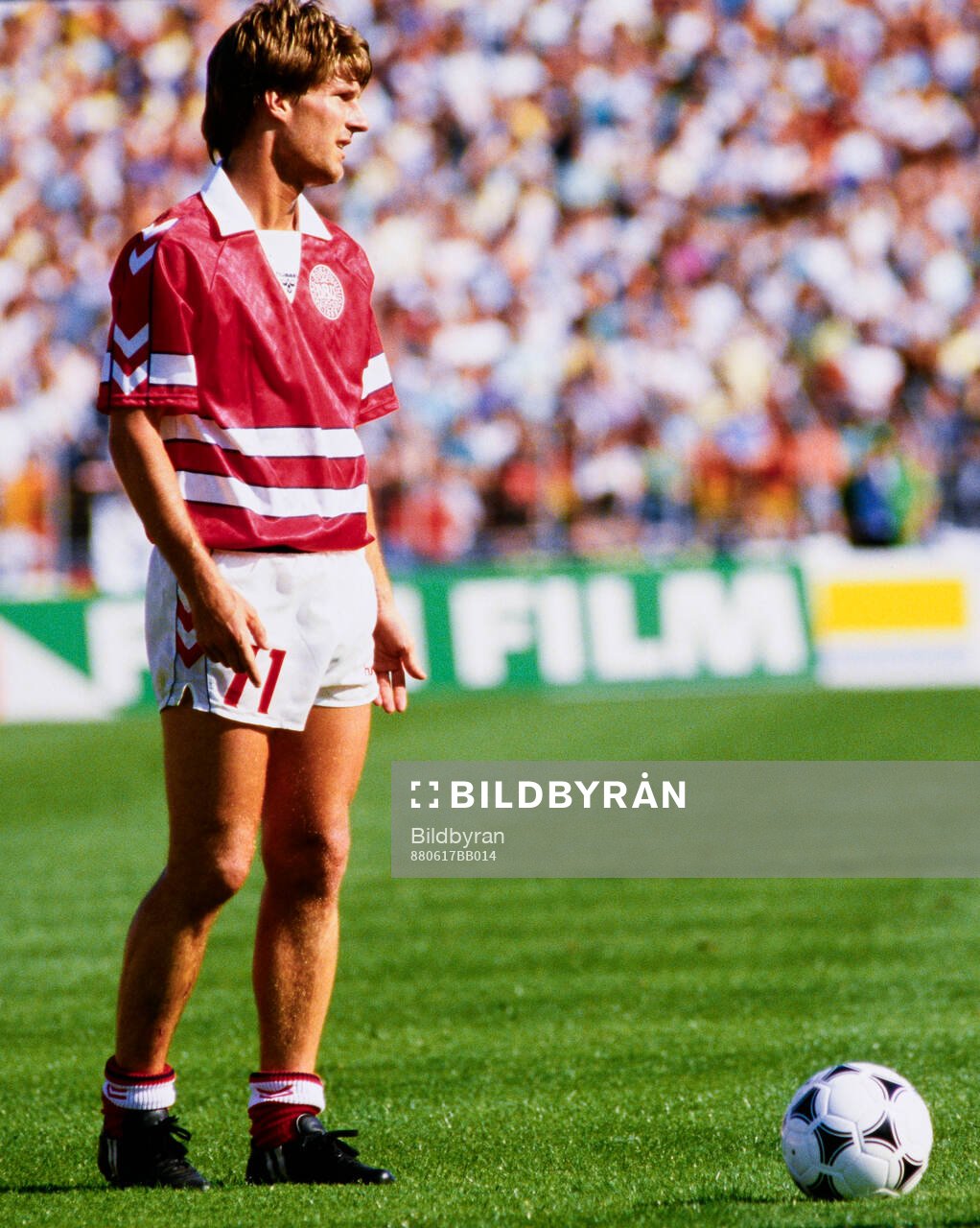 Denmarks Michael Laudrup