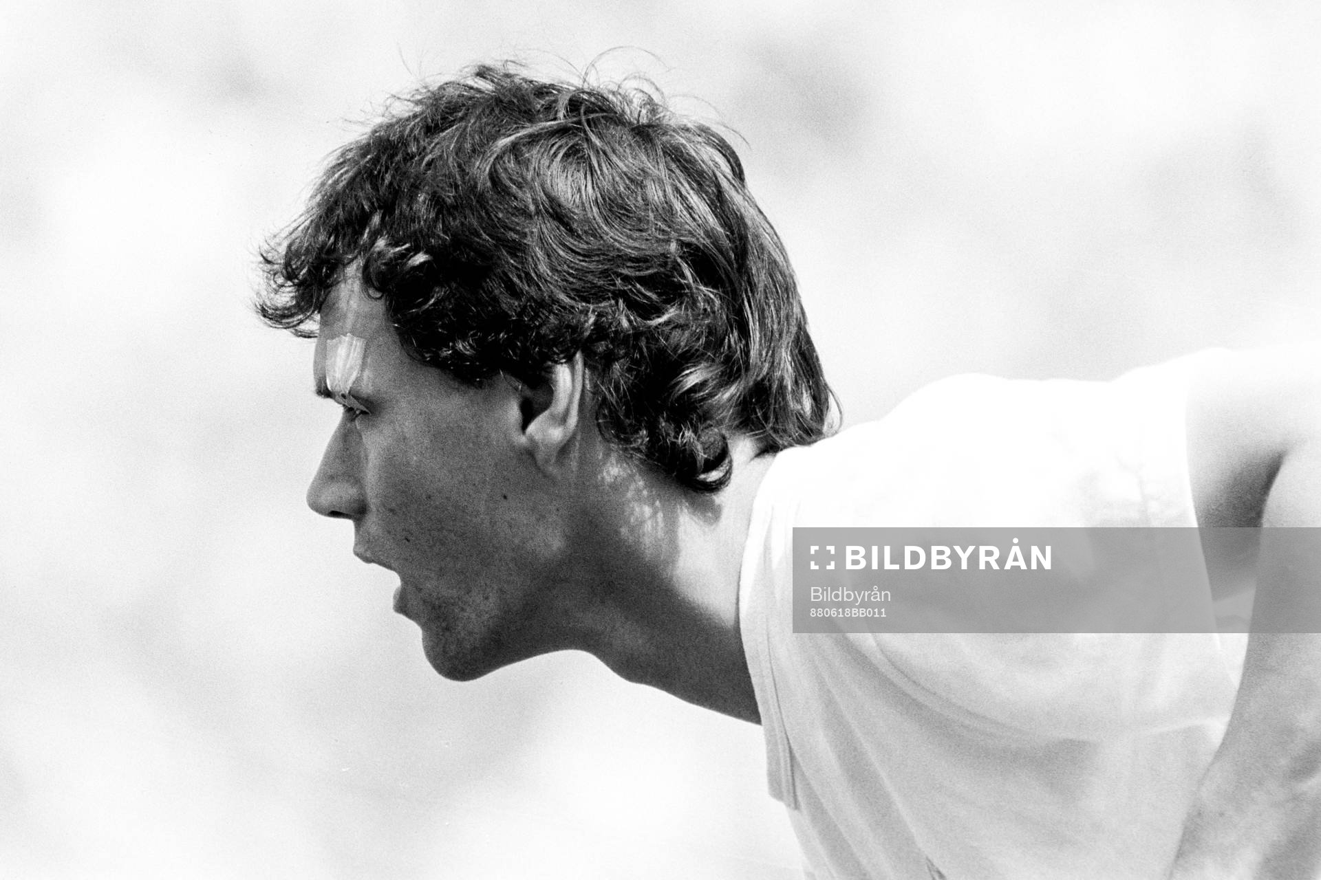 Marco van Basten, Holland