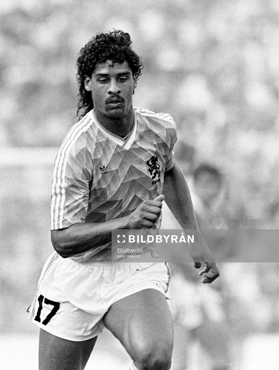 Frank Rijkaard Holland