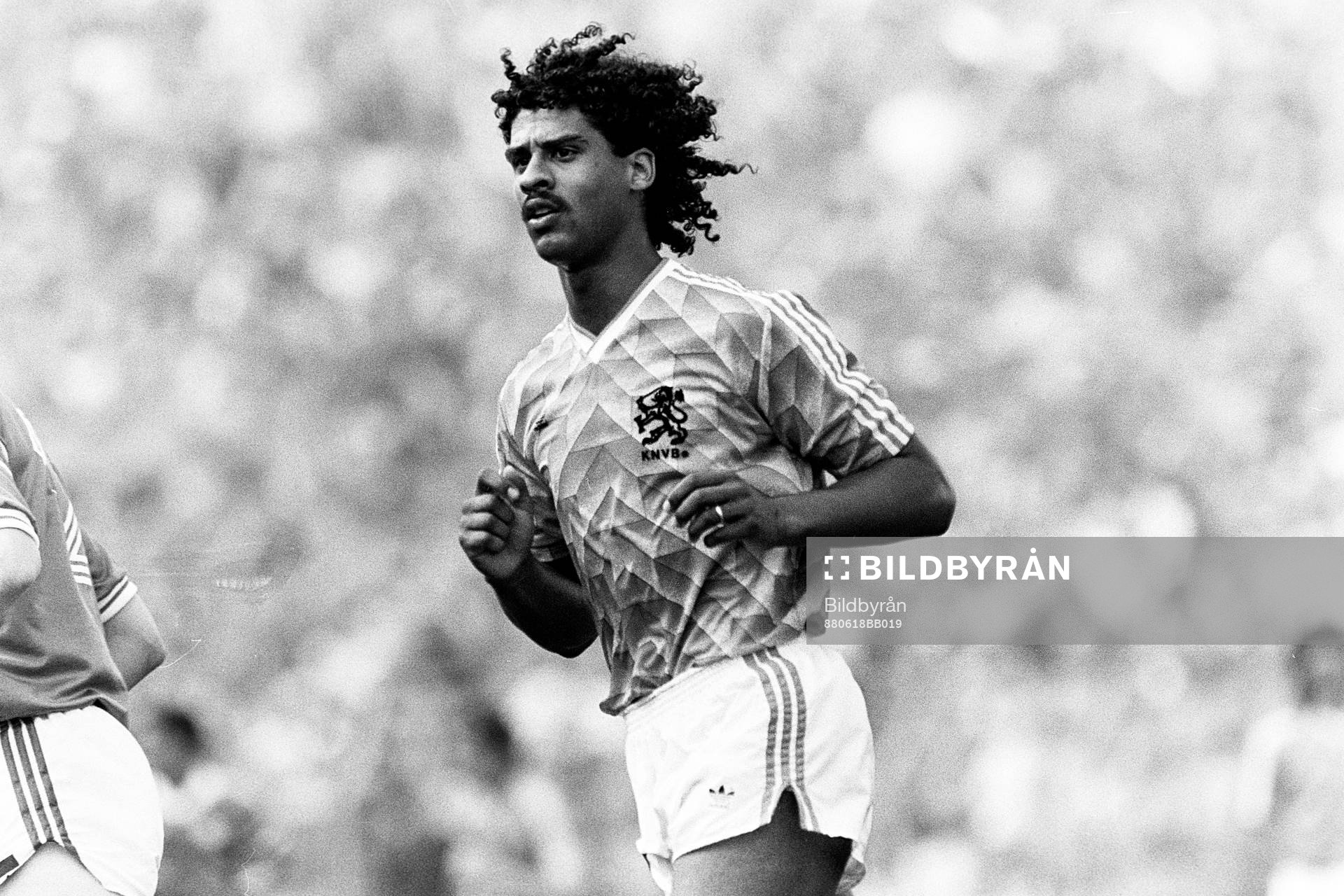 Frank Riikaard, Holland