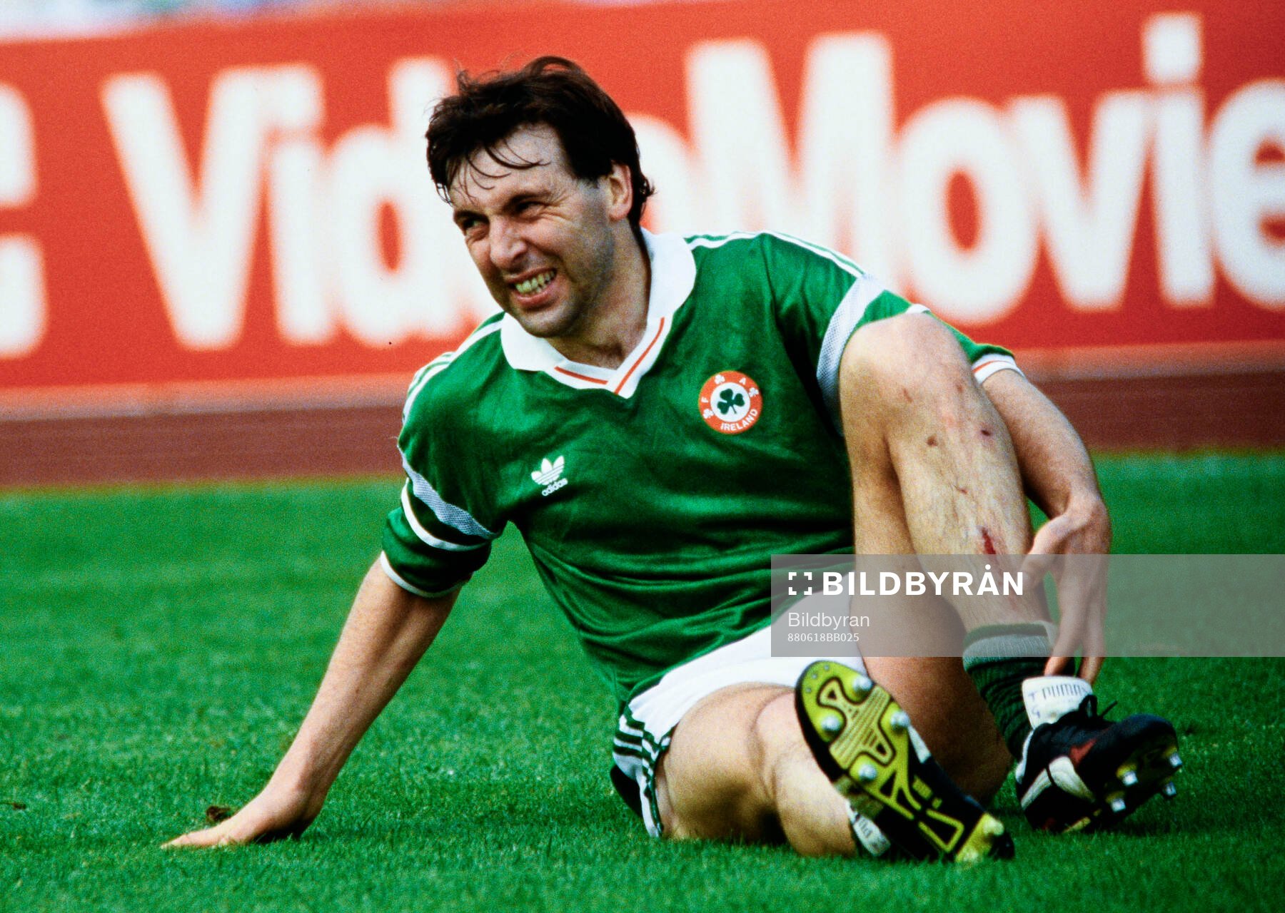 Irelands Tony Galvin injured