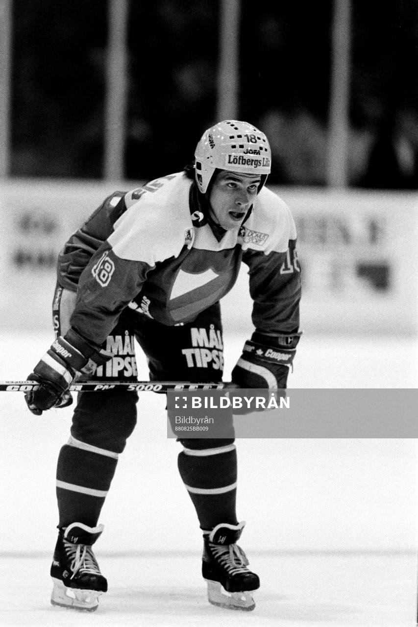 Peter Wallén, Djurgården
