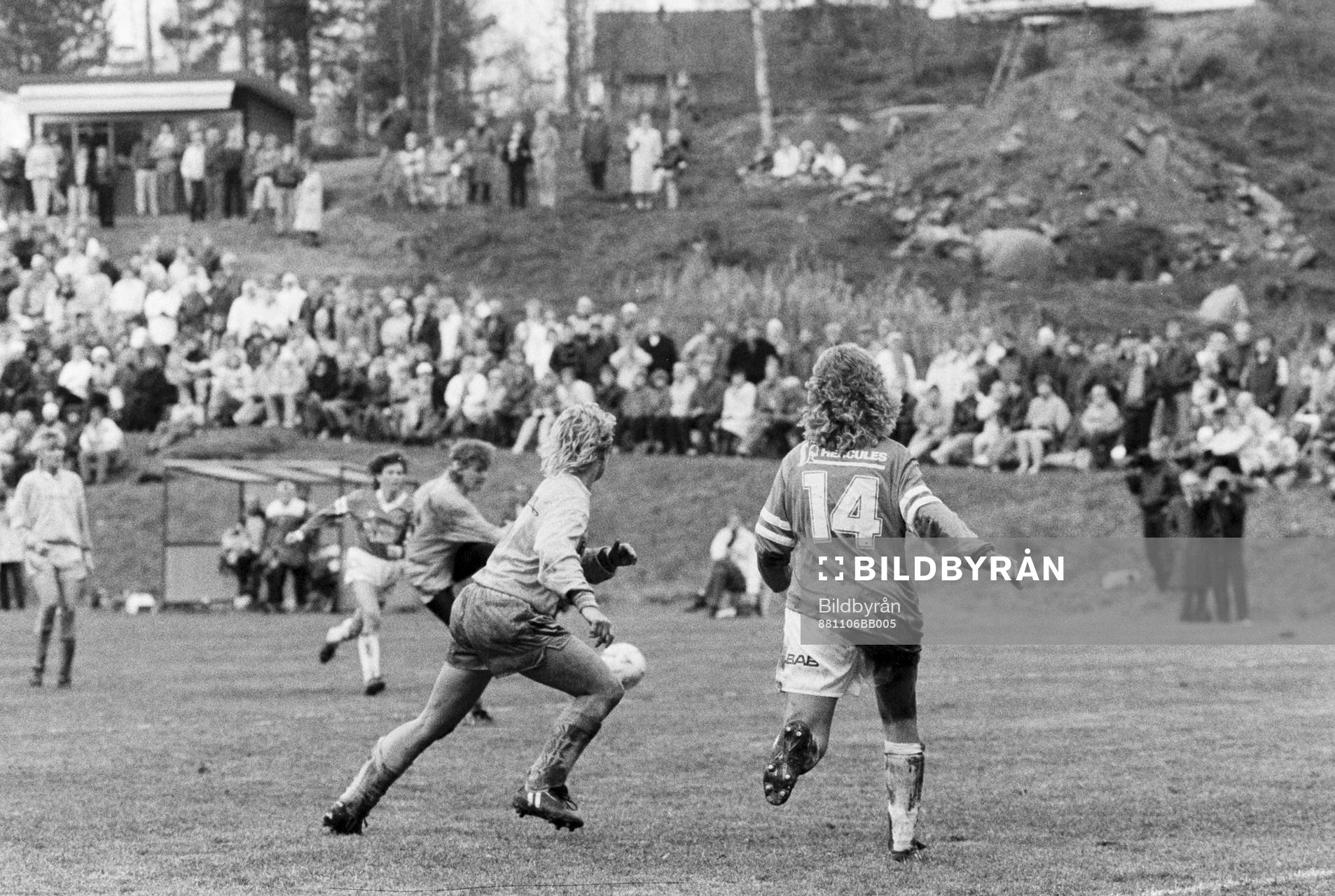 Översikt arenan