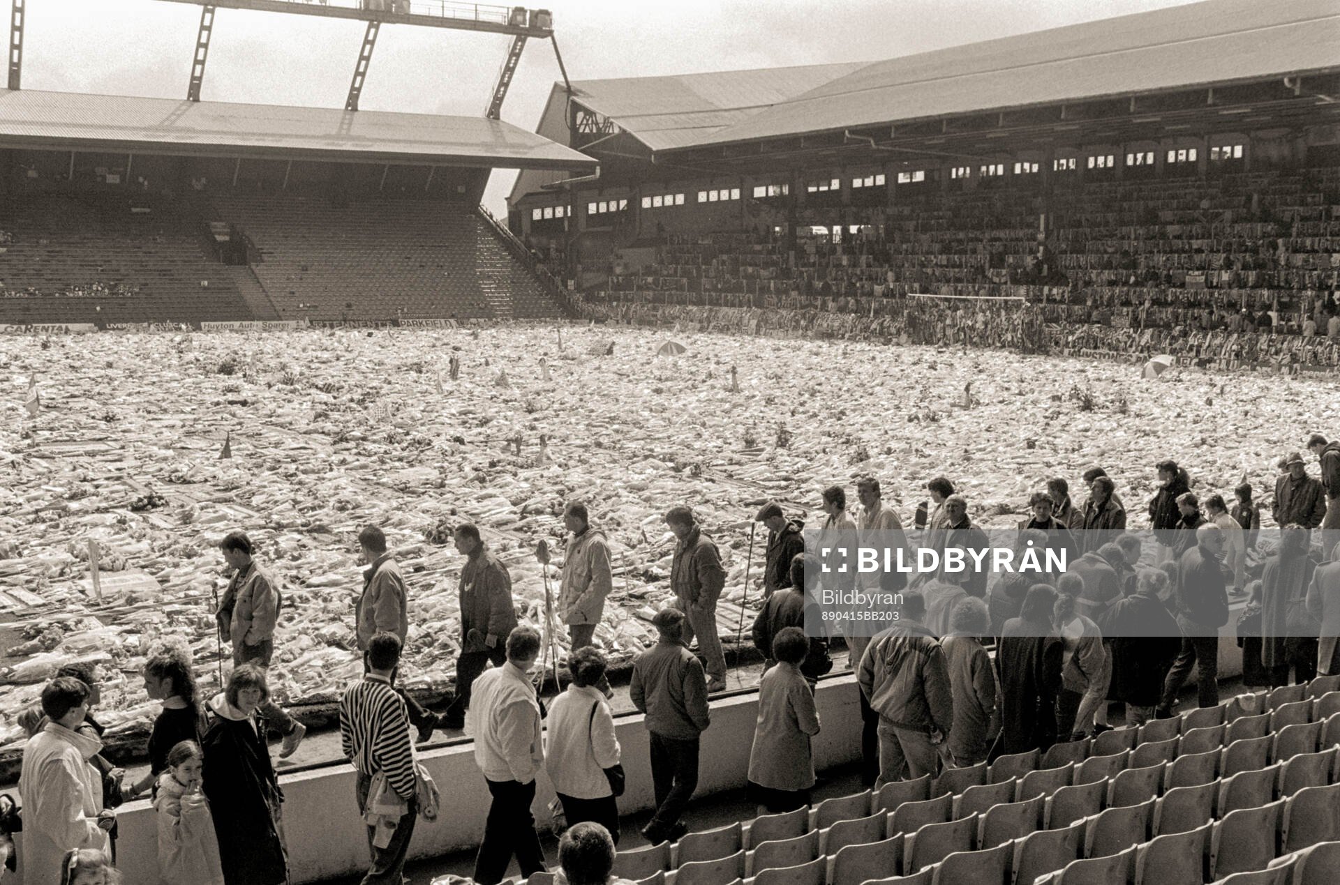 People look at a sea of flowers and scarves at Anfield to