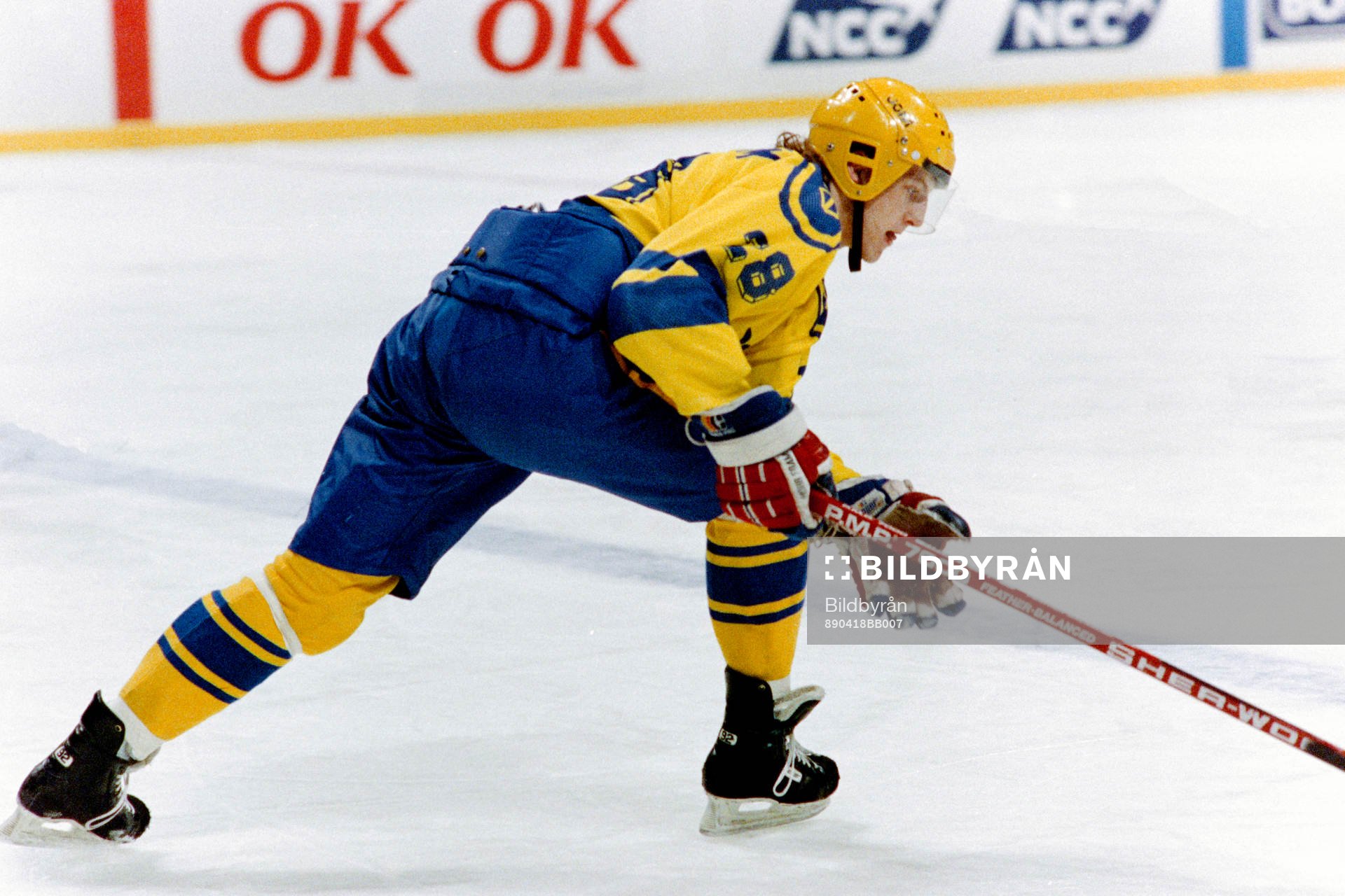 Tomas Sandström, Sverige