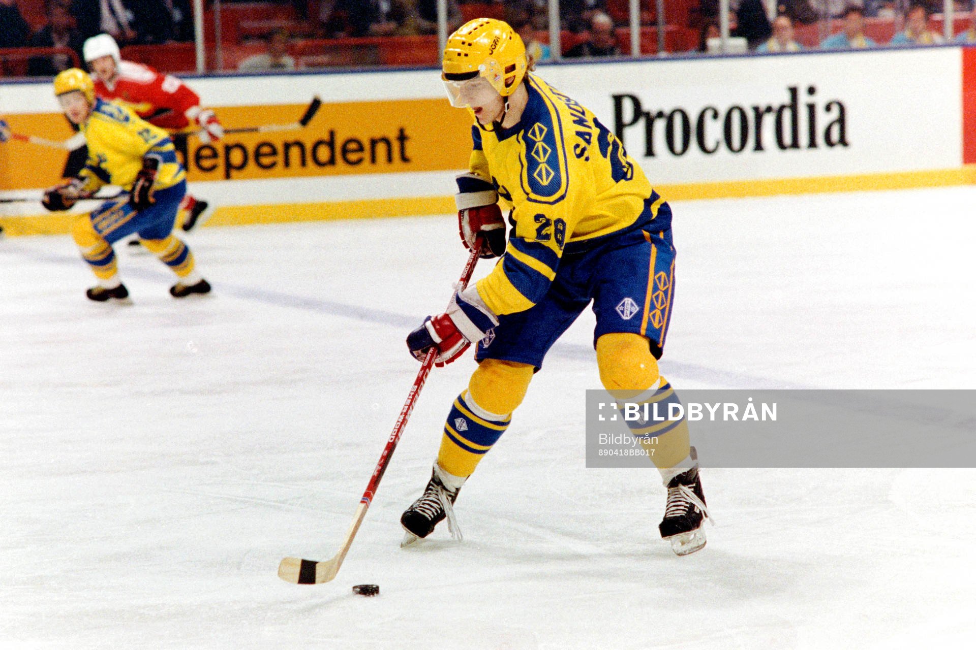 Tomas Sandström, Sverige