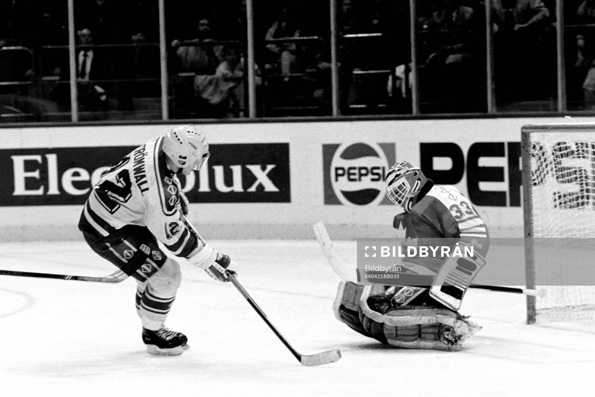 Johan Strömwall, Sverige fri med Grant Fuhr, målvakt i