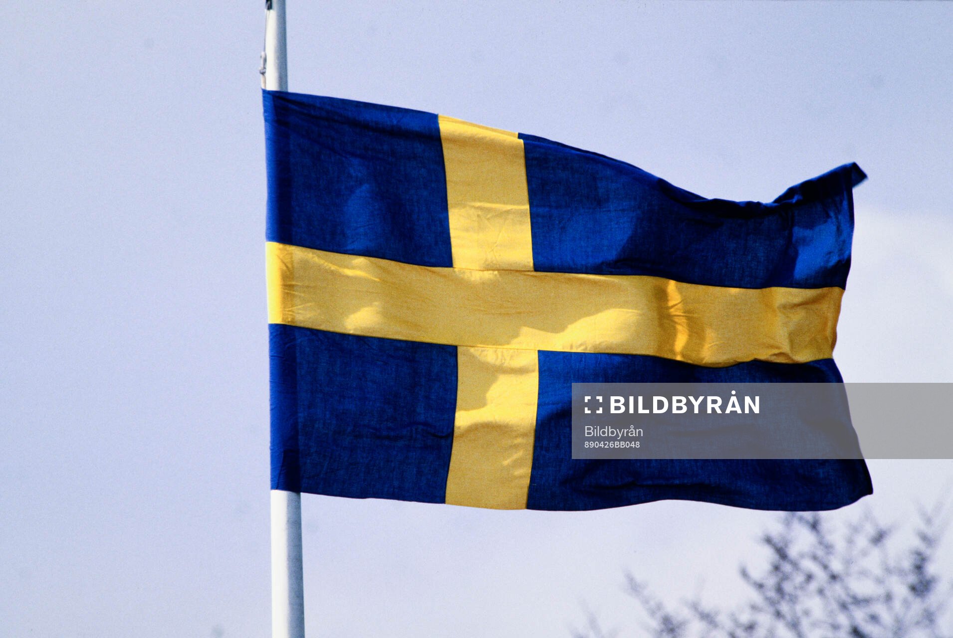 Fotboll, Dam, Landskamp, Sverige - Finland 4-1 (Bromölla