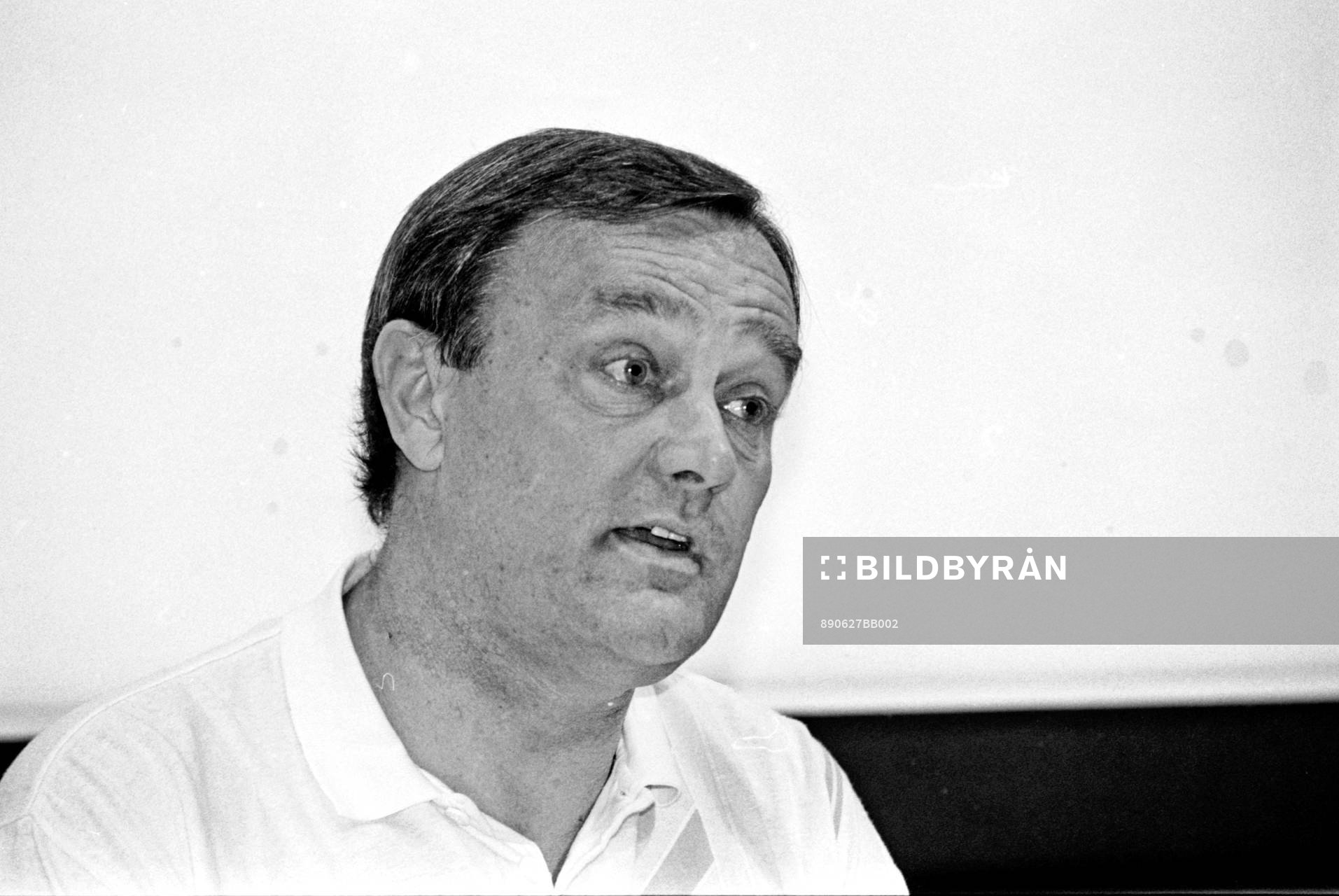 Lars-Åke Björk, domarchef