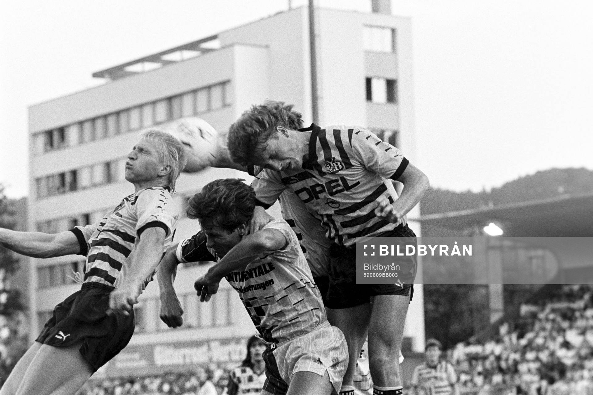 Roger Ljung, Young Boys vinner en nickduell