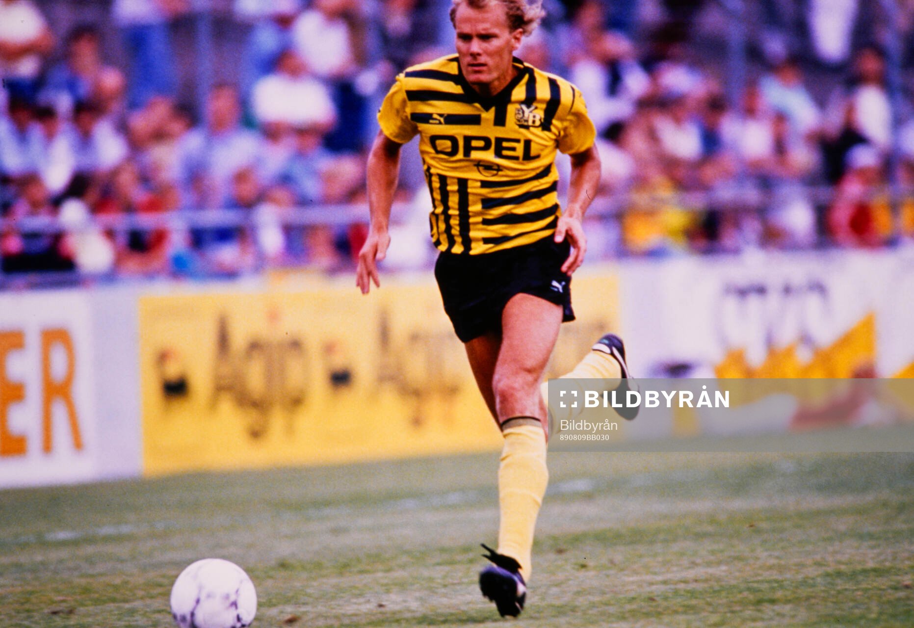 Håkan Lindman, Young Boys