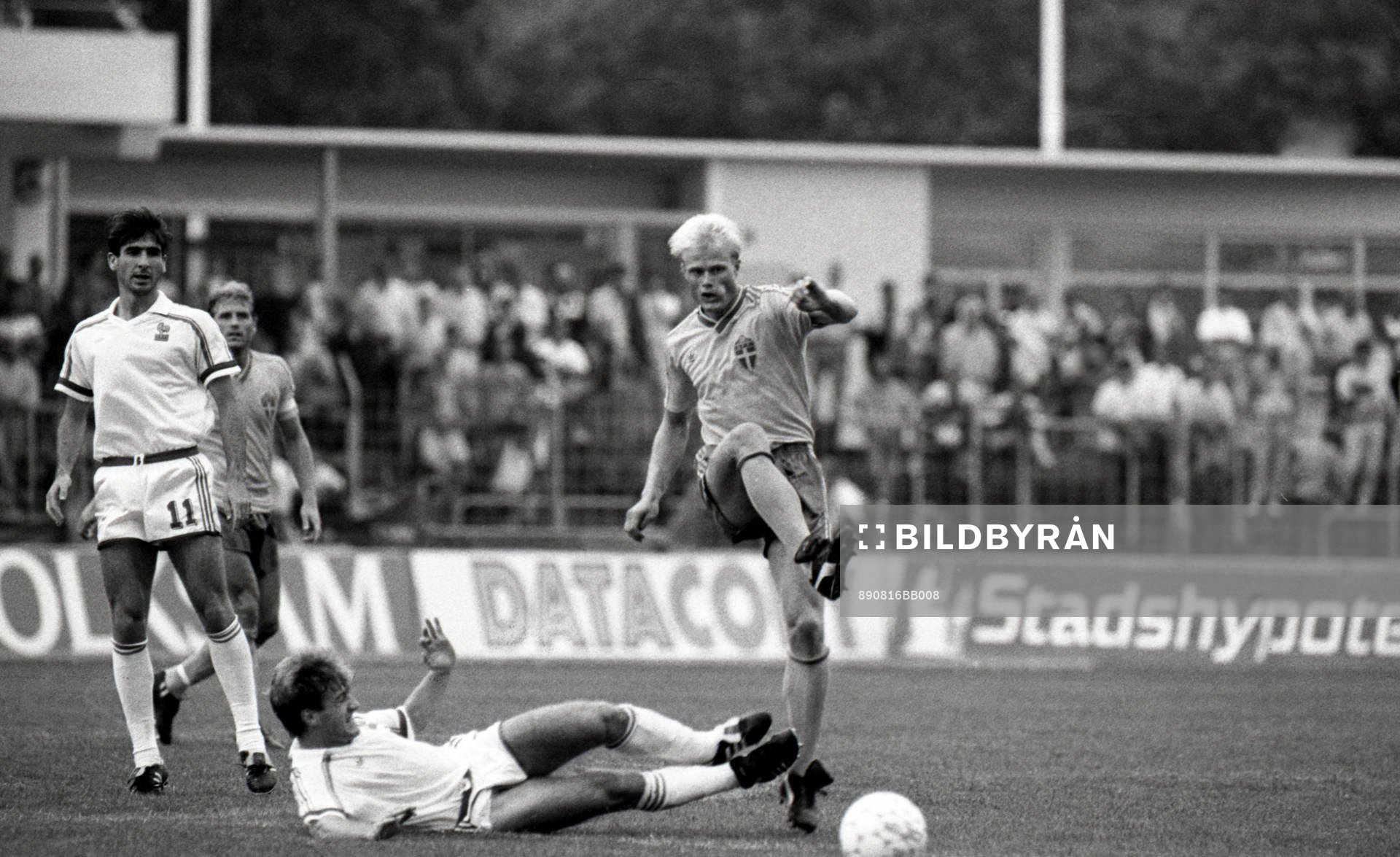 Peter Larsson, Sverige