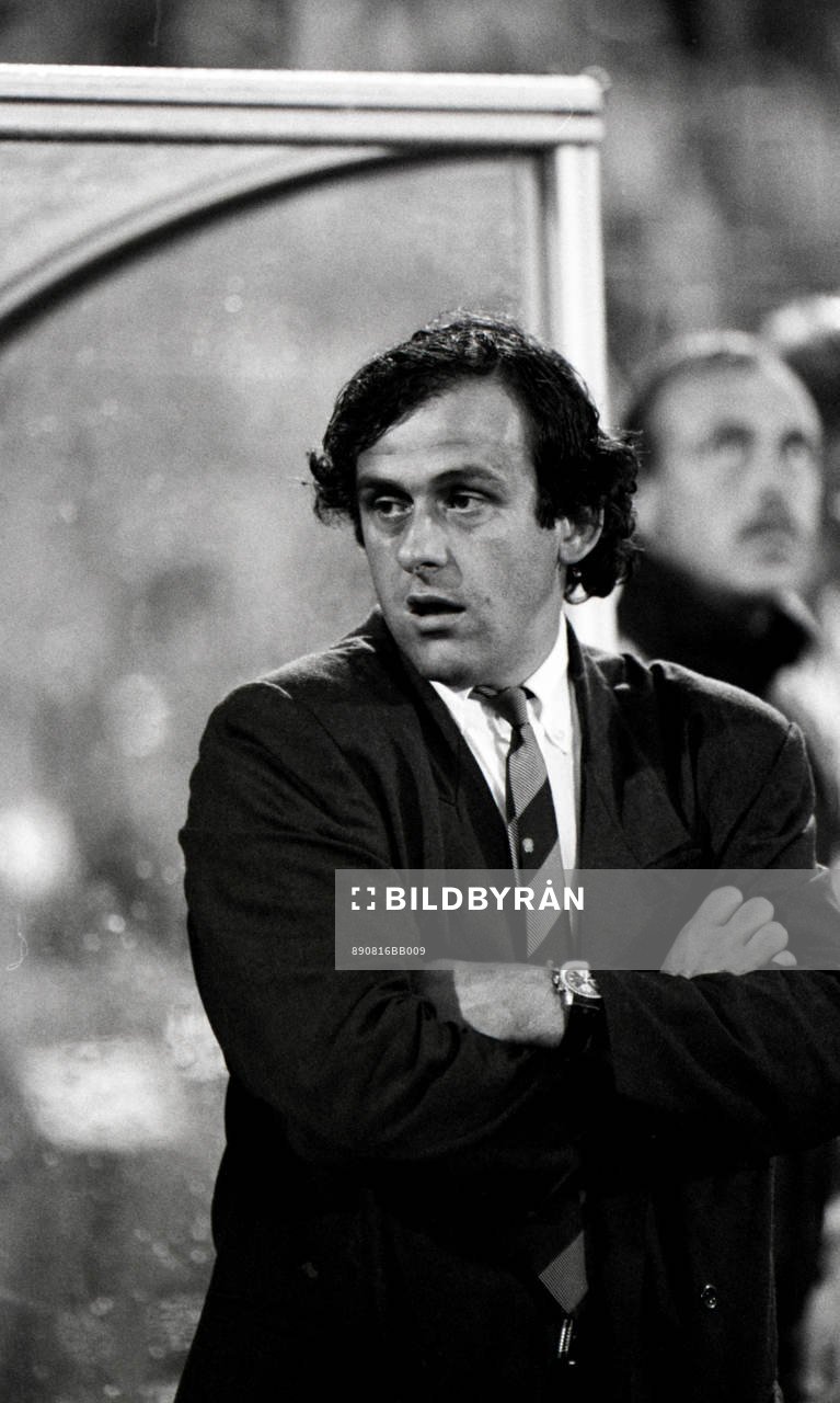 Michel Platini, förbundkapten, Frankrihe