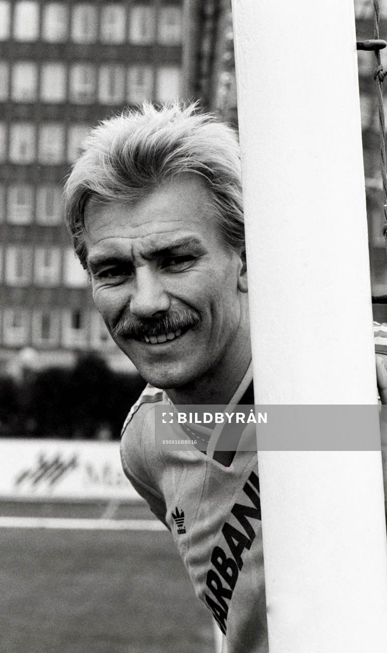 Jan Hellström, Sverige