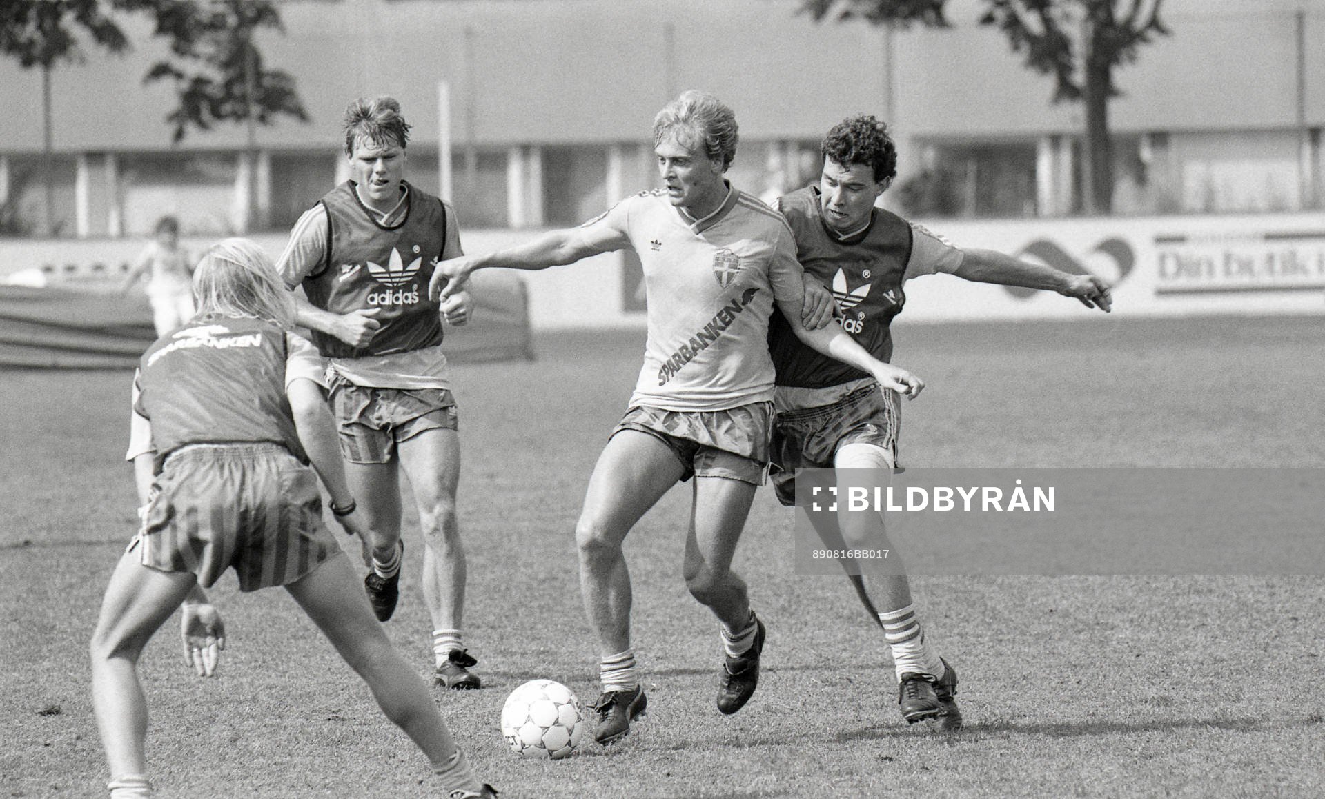 Jonas Thern, Sverige