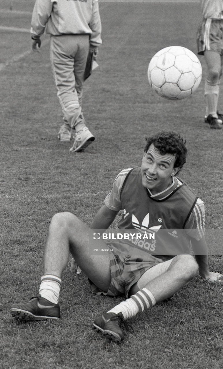 Stefan Rehn, Sverige