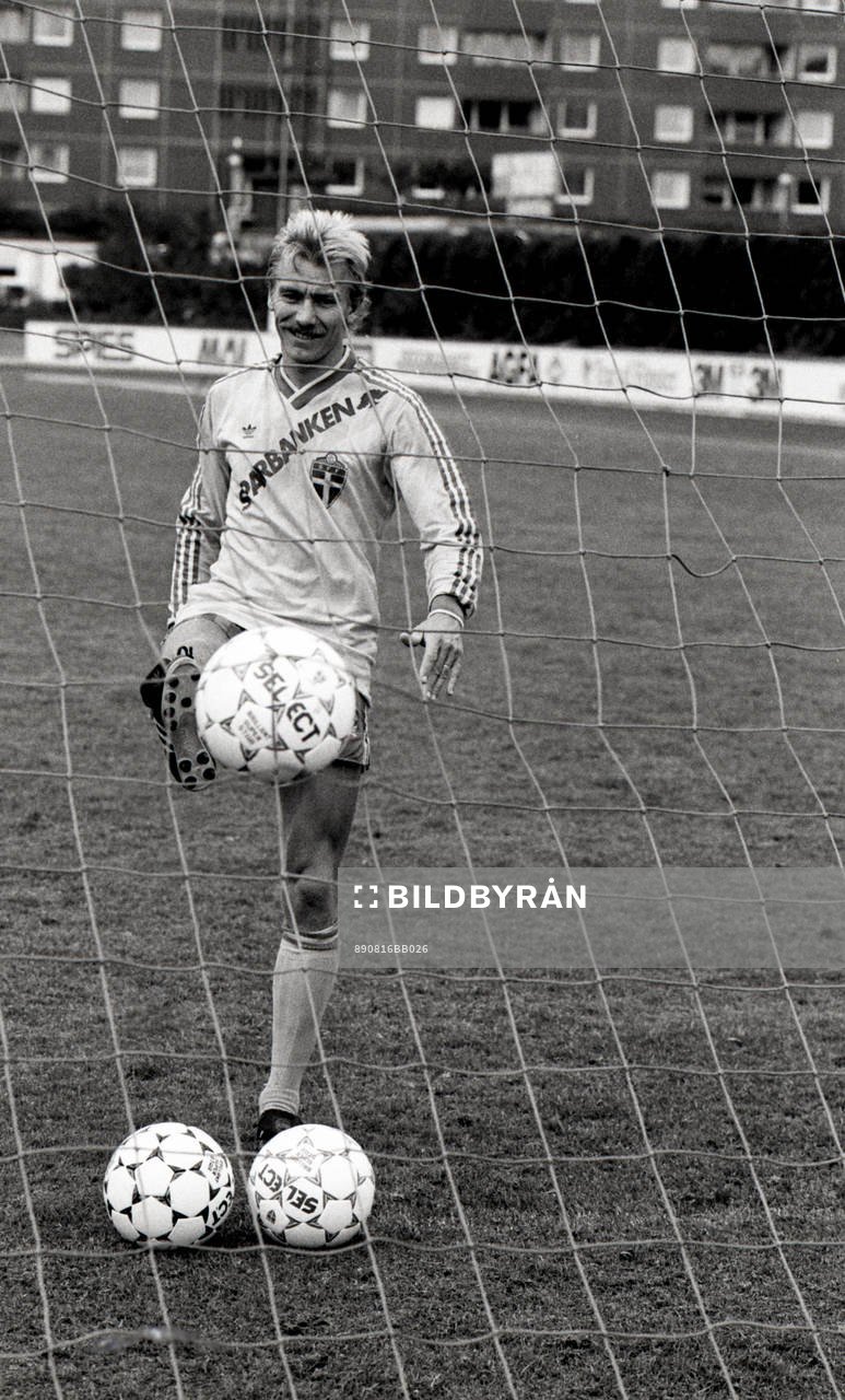 Jan Hellström, Sverige