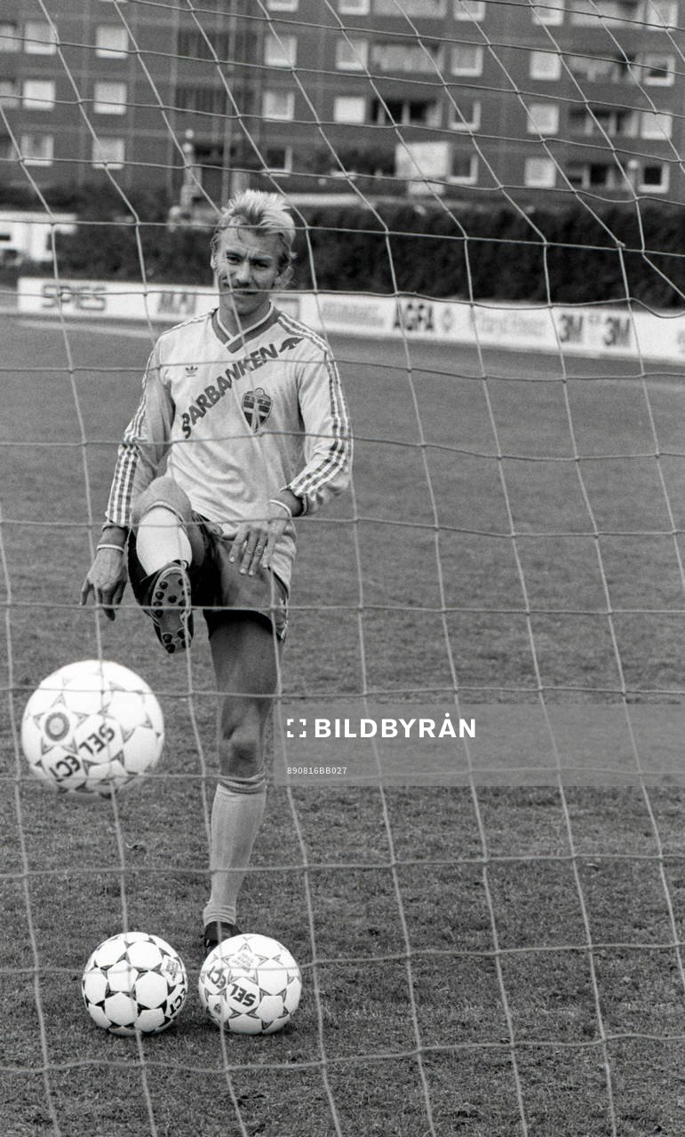 Jan Hellström, Sverige