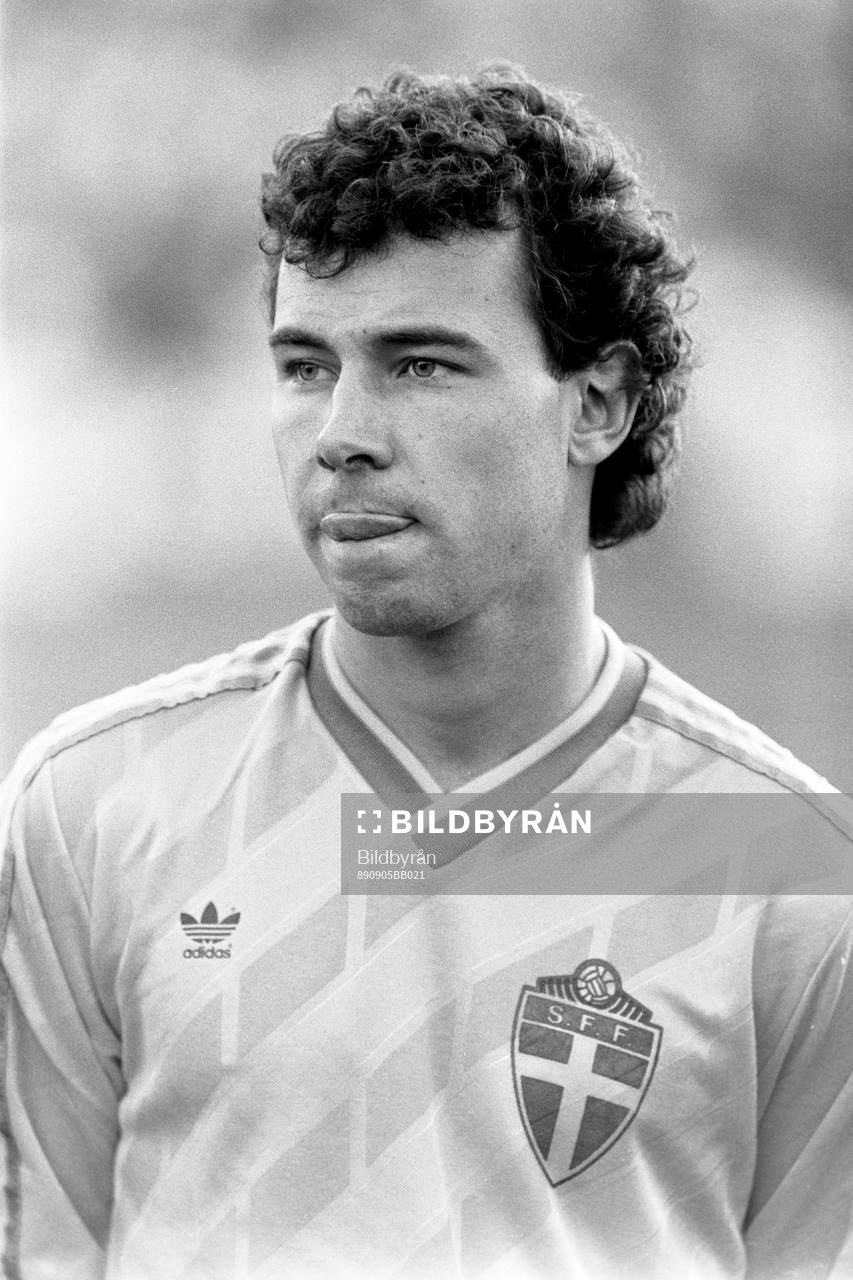 Stefan Rehn, Sverige