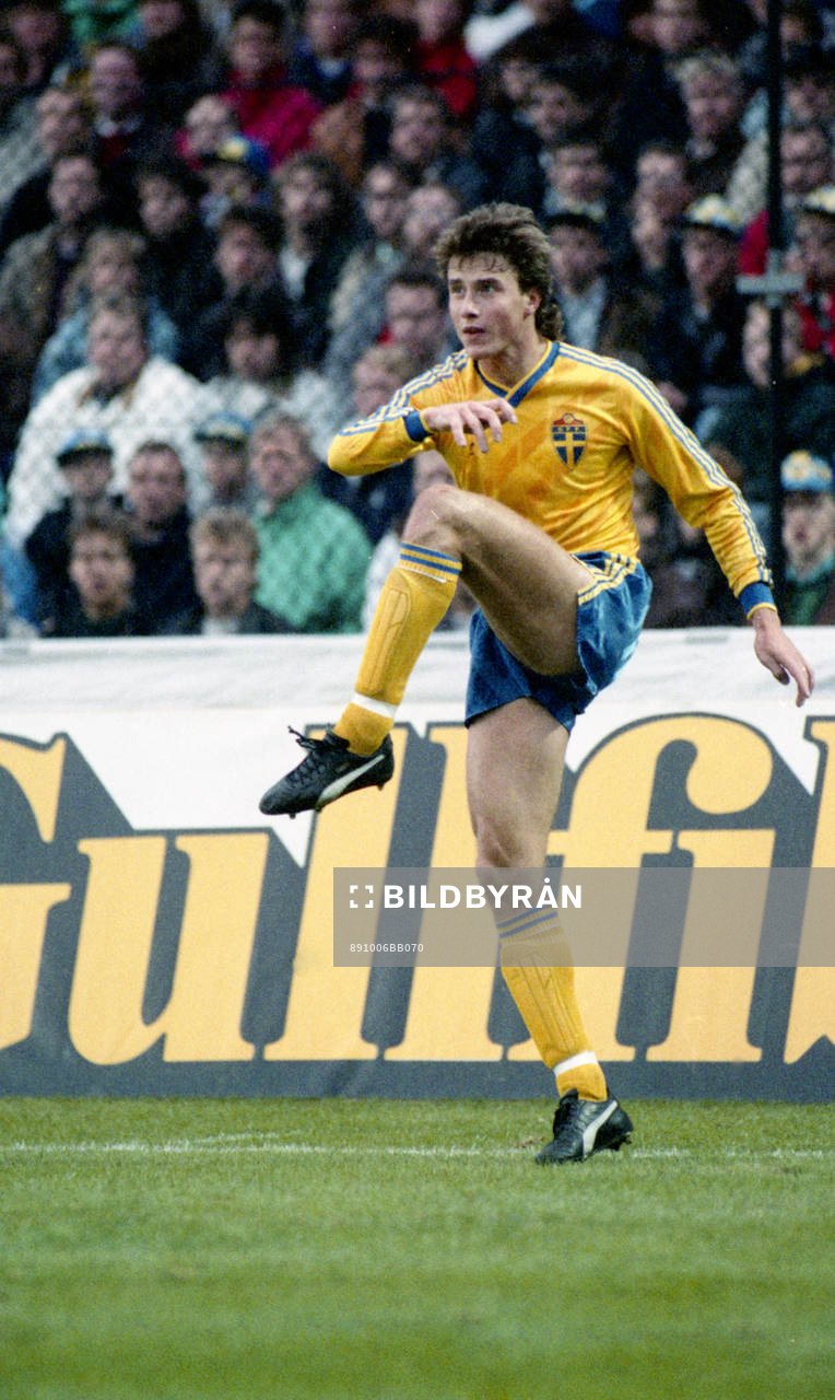 Roger Ljung, Sverige