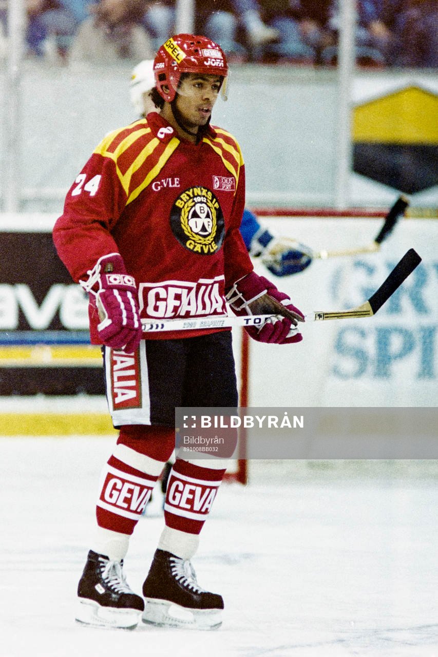 Patrik Erickson, Brynäs