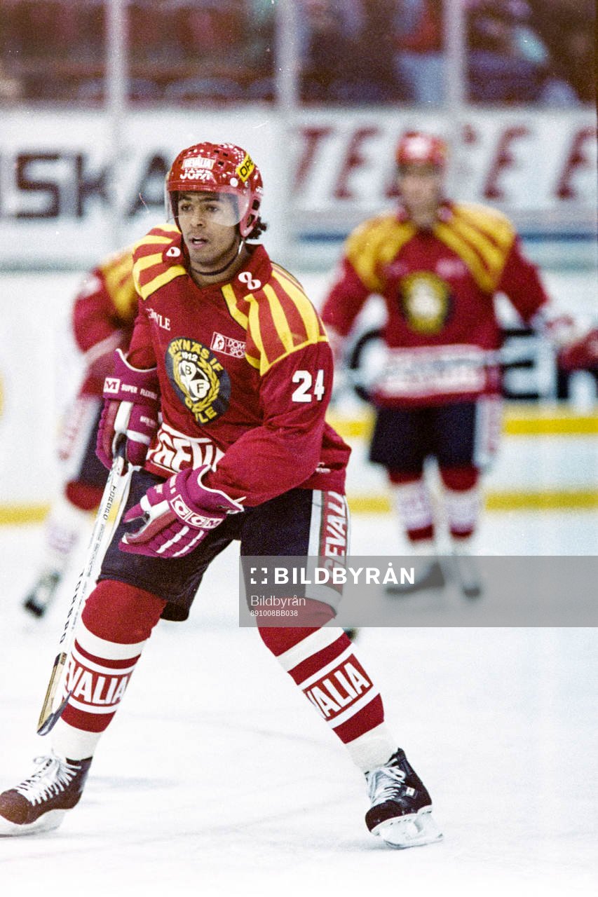 Patrik Erickson, Brynäs