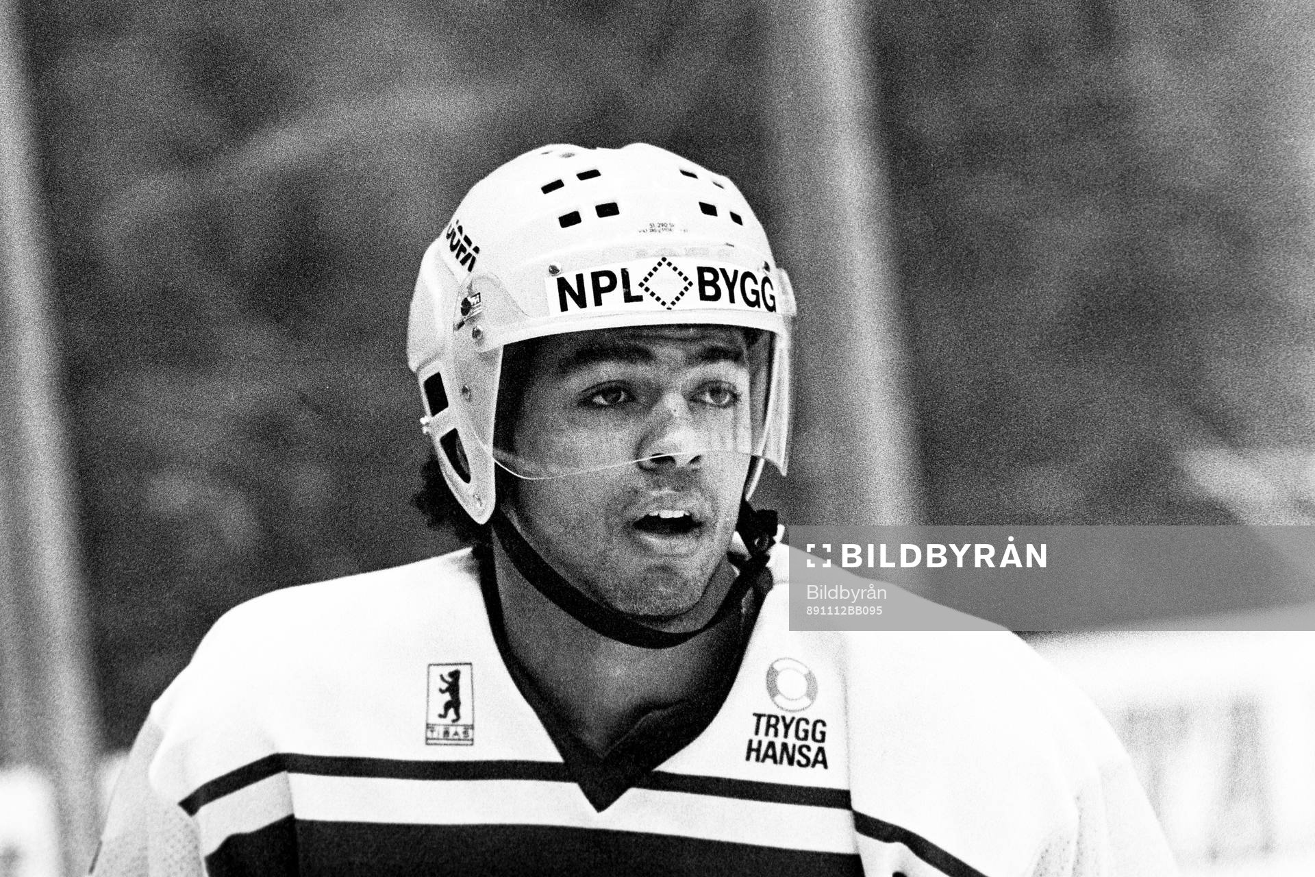 Patrik Erickson, Sverige