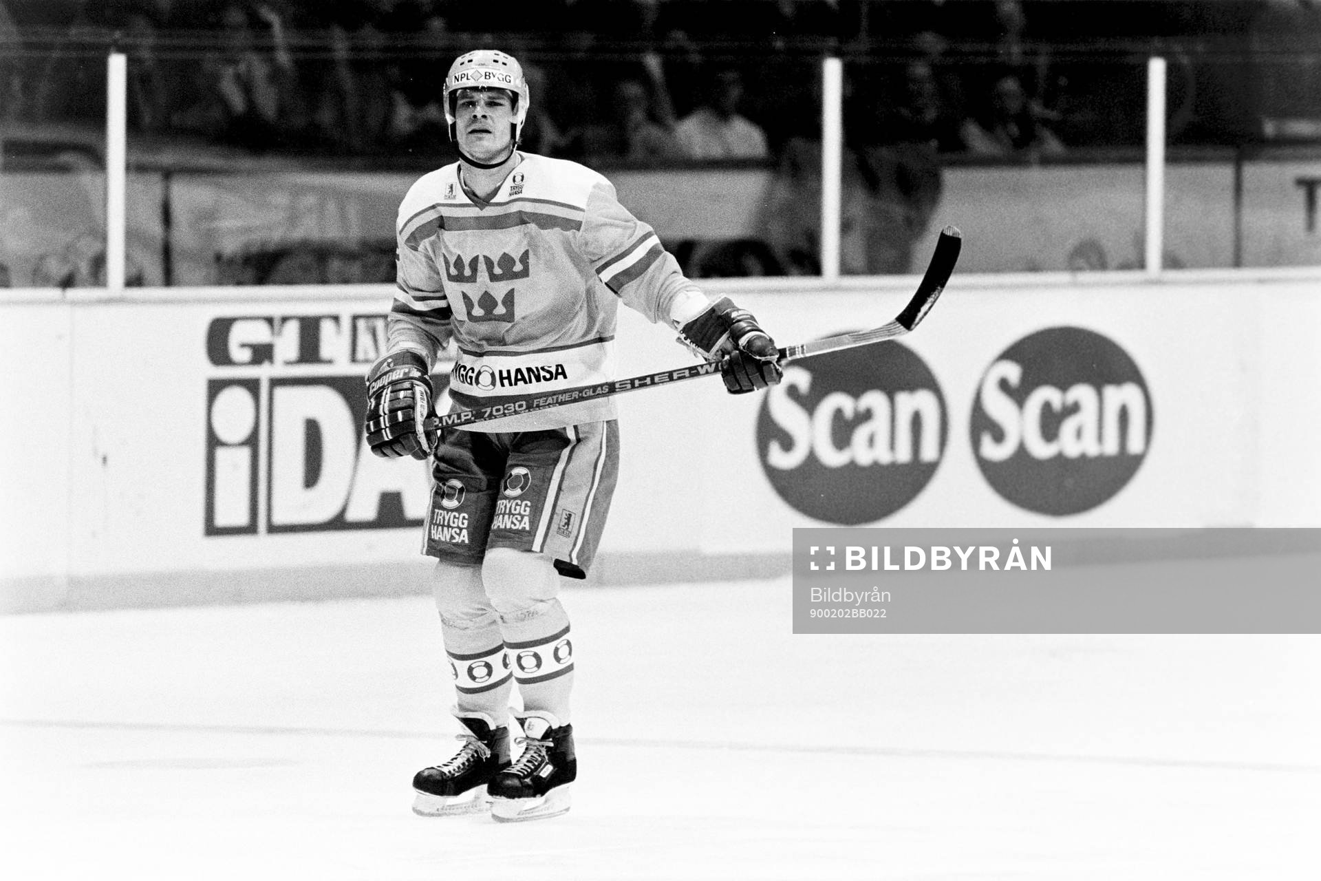 Thomas Rundqvist, Sverige