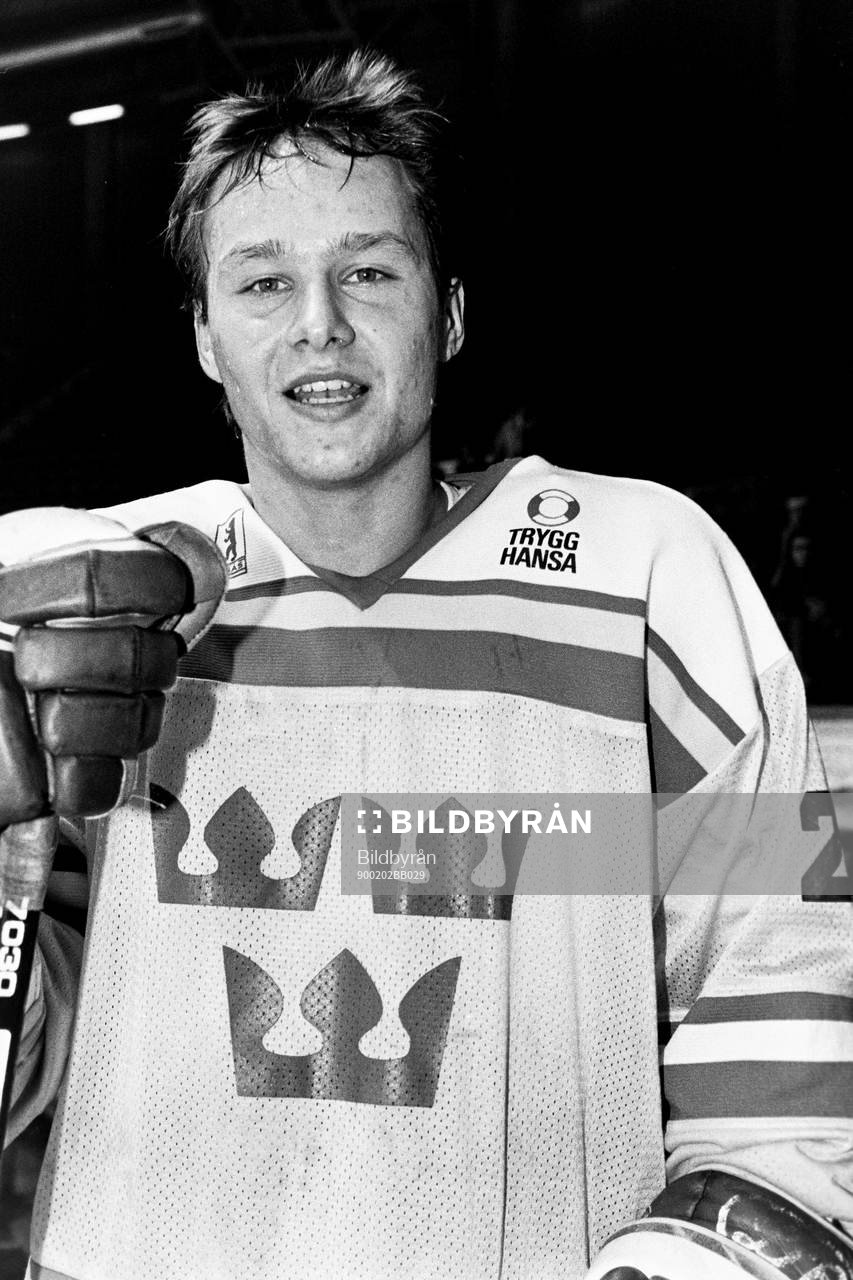 Paul Andersson, Sverige