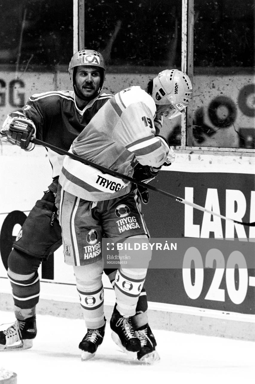 Magnus Roupé, Sverige