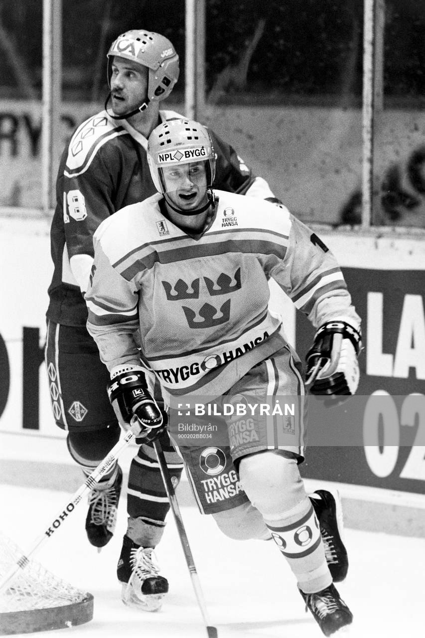 Magnus Roupé, Sverige