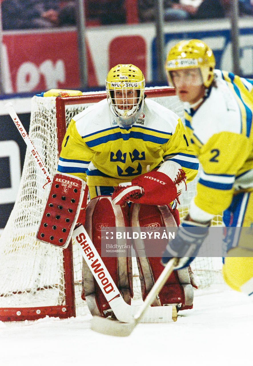 Fredrik Andersson, målvakt i Sverige